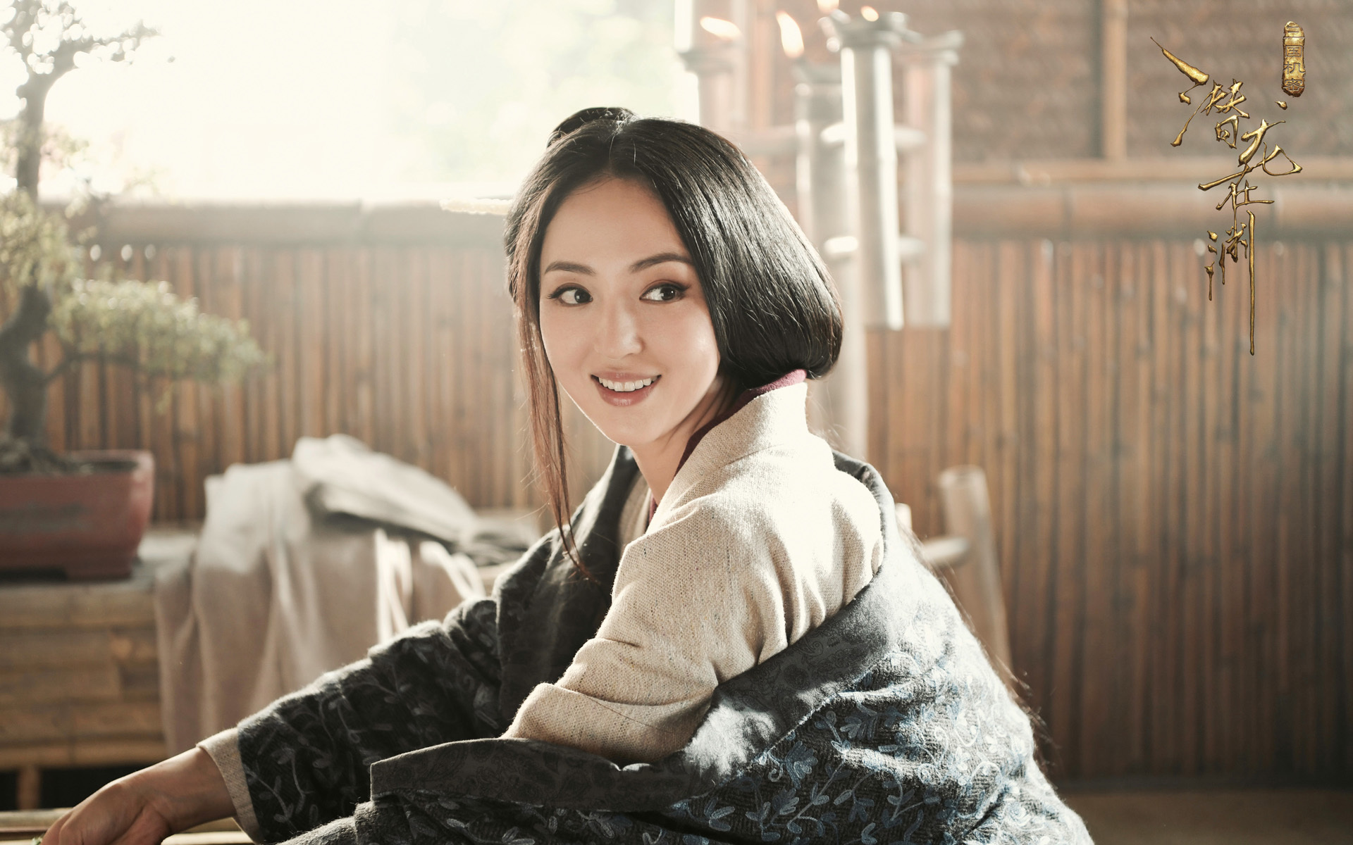 影视 电视剧 董璇 三国机密之潜龙在渊