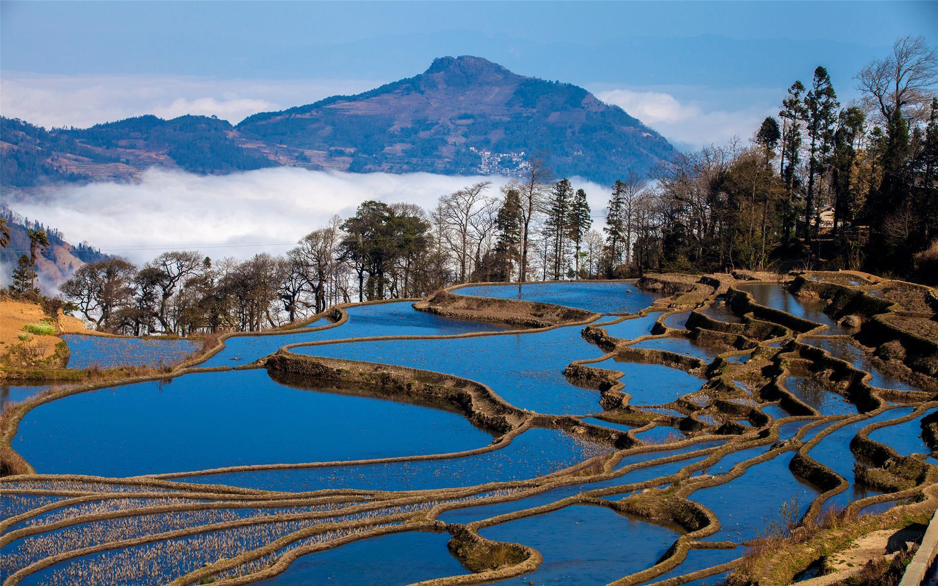 风景 自然美景 贵阳 梯田 美丽壮观 宽屏