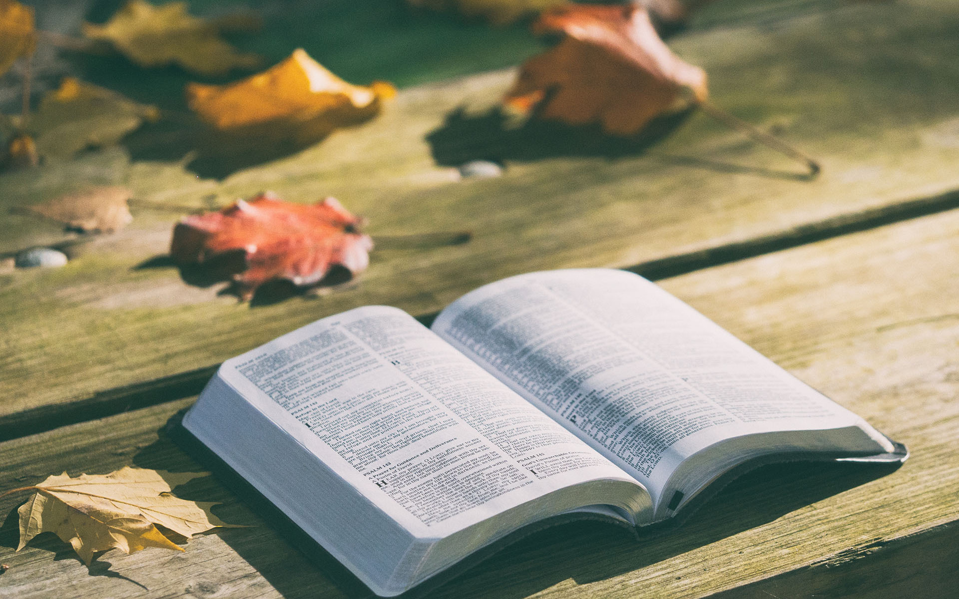 小清新 静物写真 书本 书籍