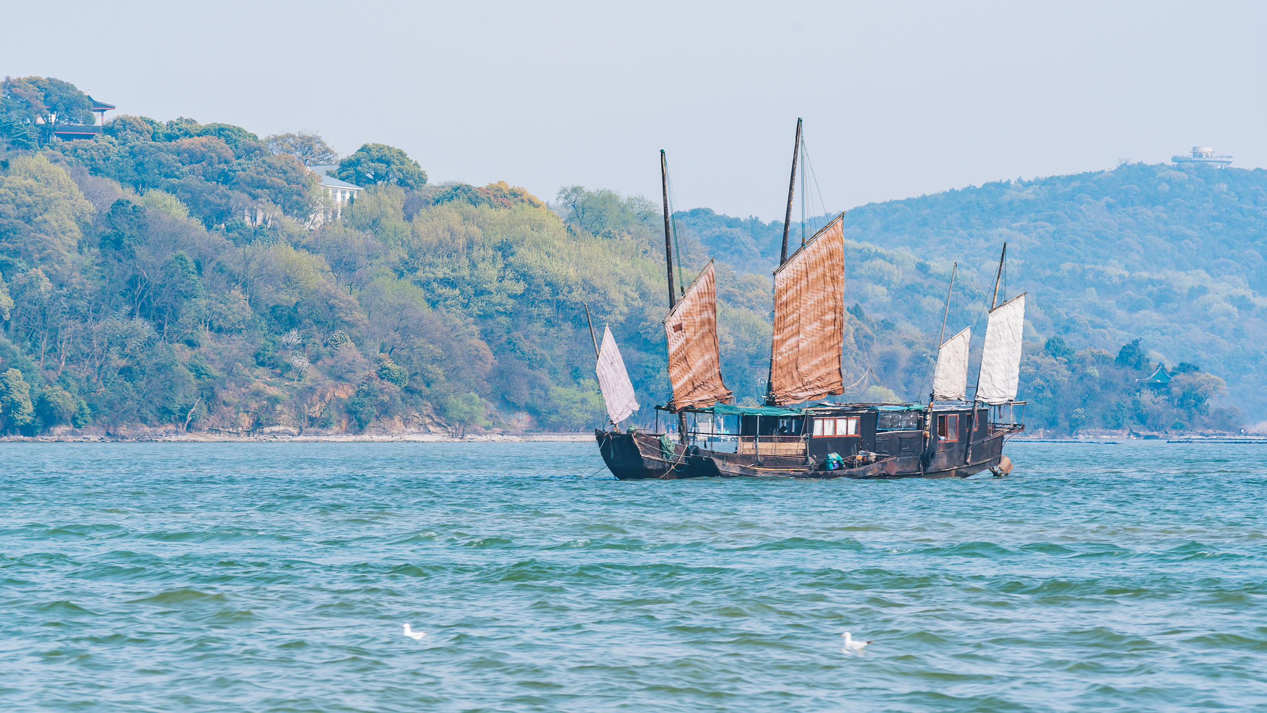 风景 自然风光 湖泊 太湖