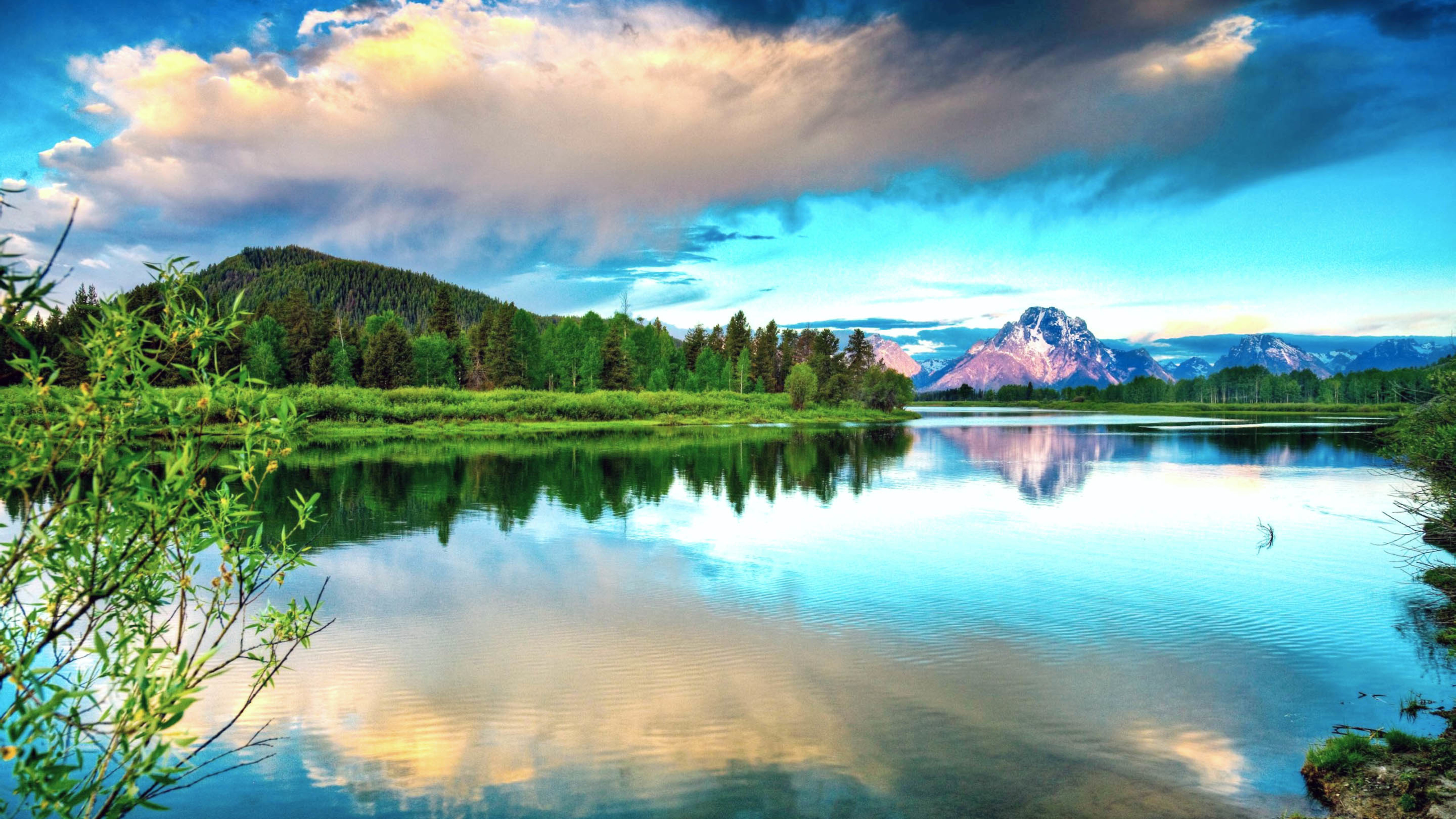 河流 森林 清新自然