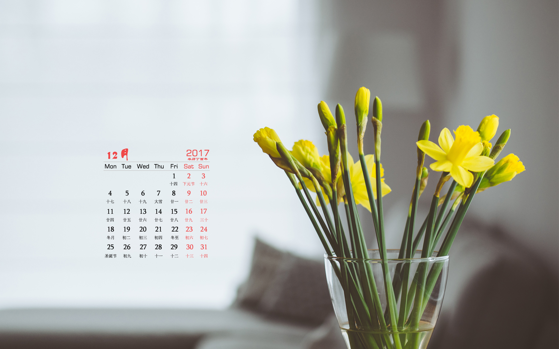 月历 植物 花卉