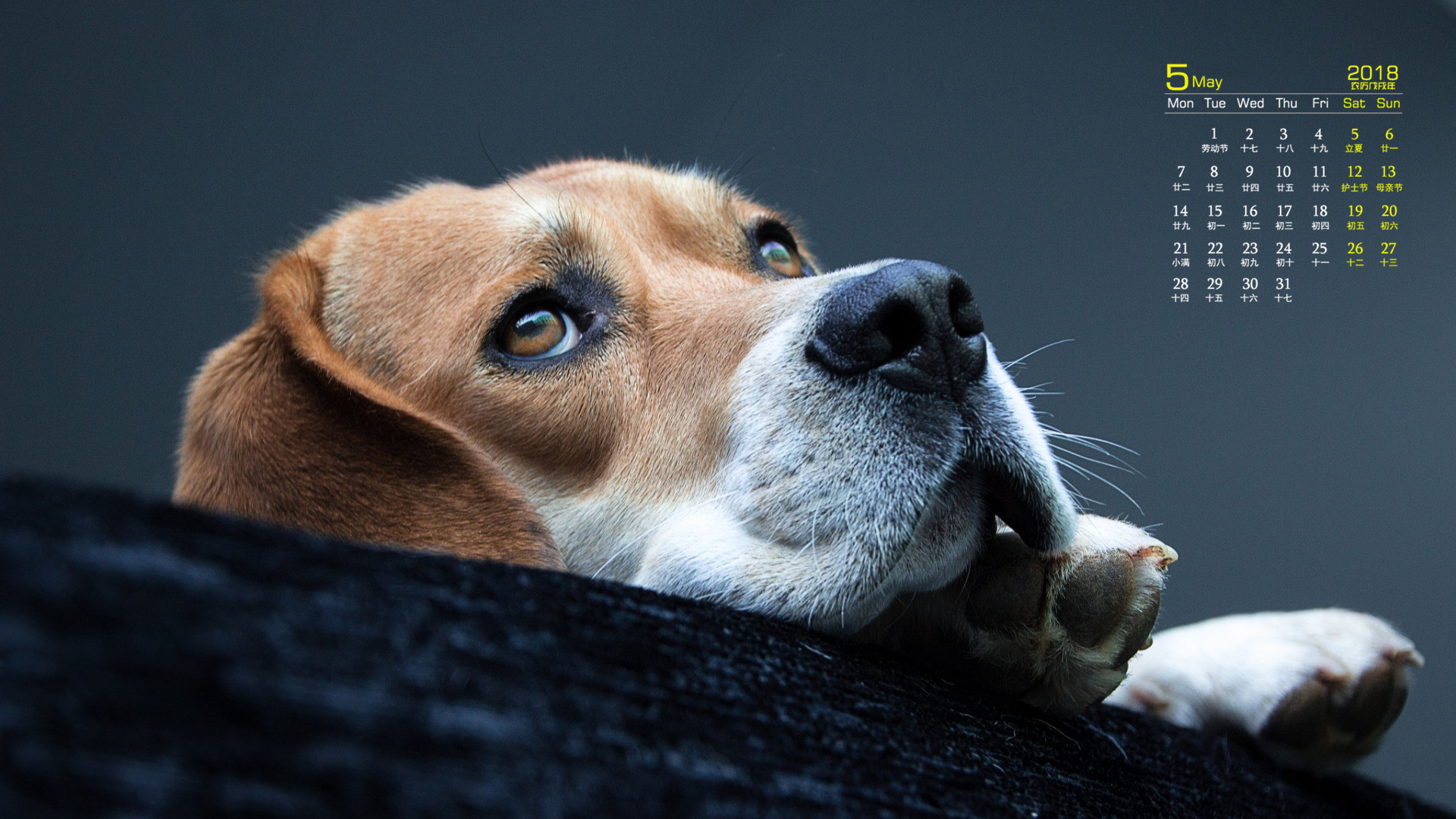 月历 2018年5月