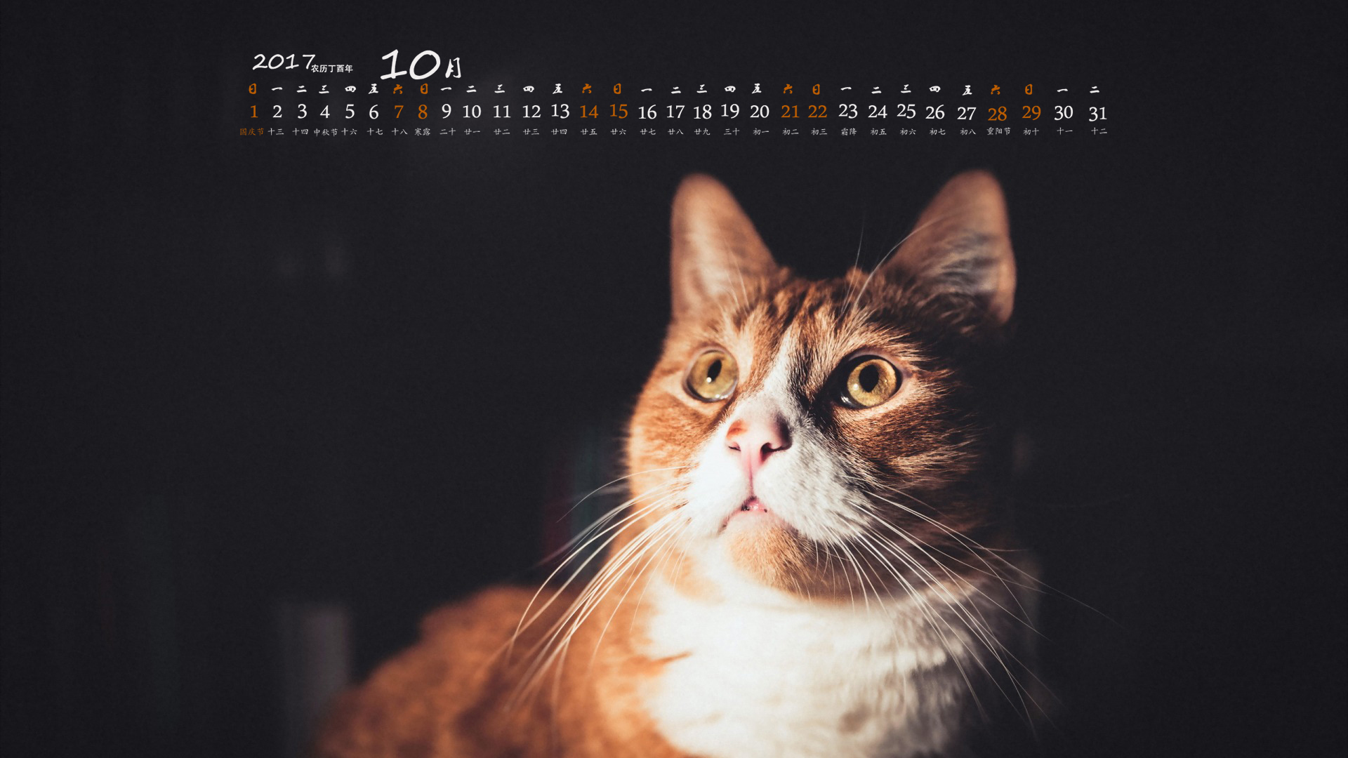 月历 2017年10月