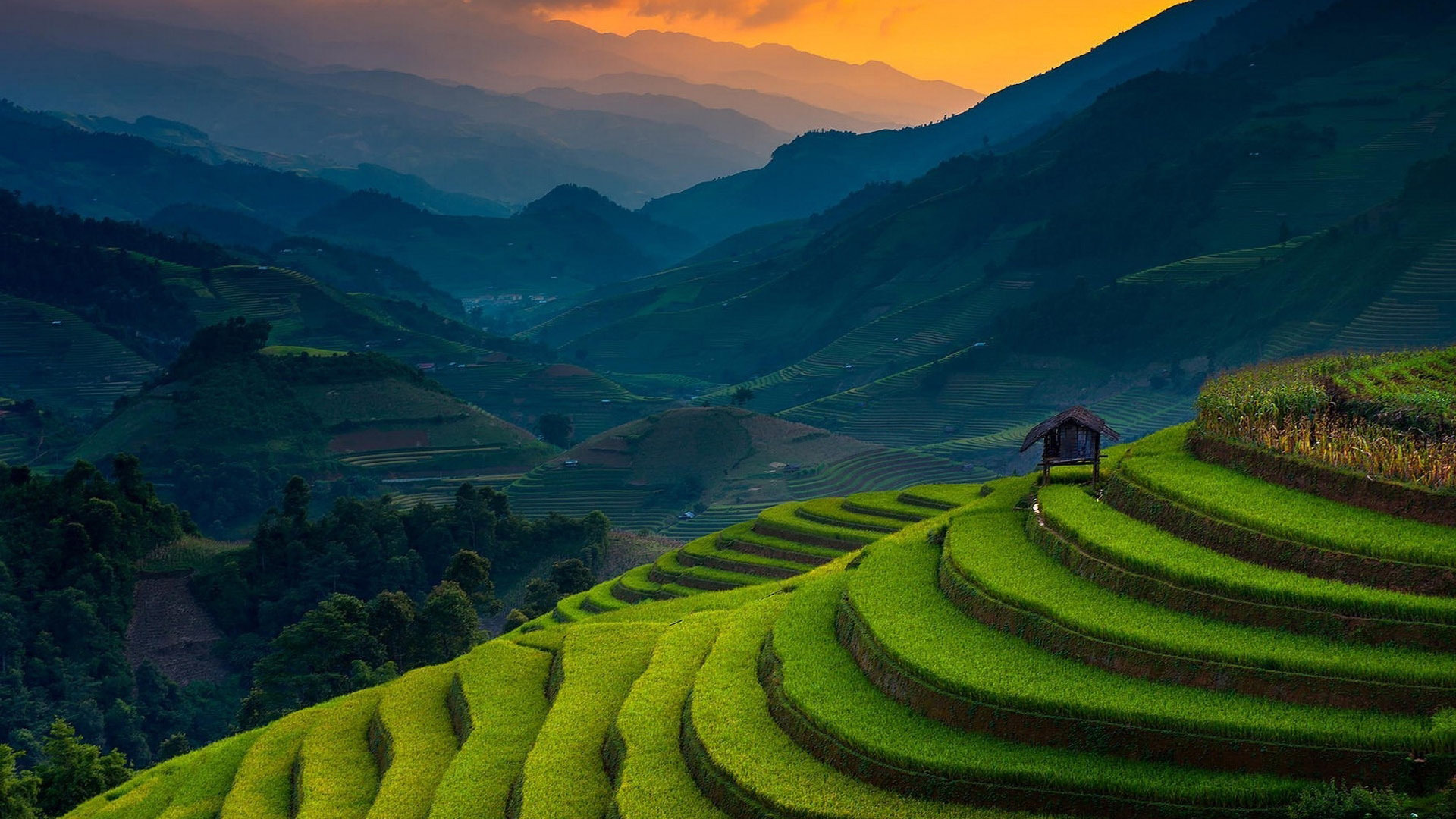 风景 梯田 大山