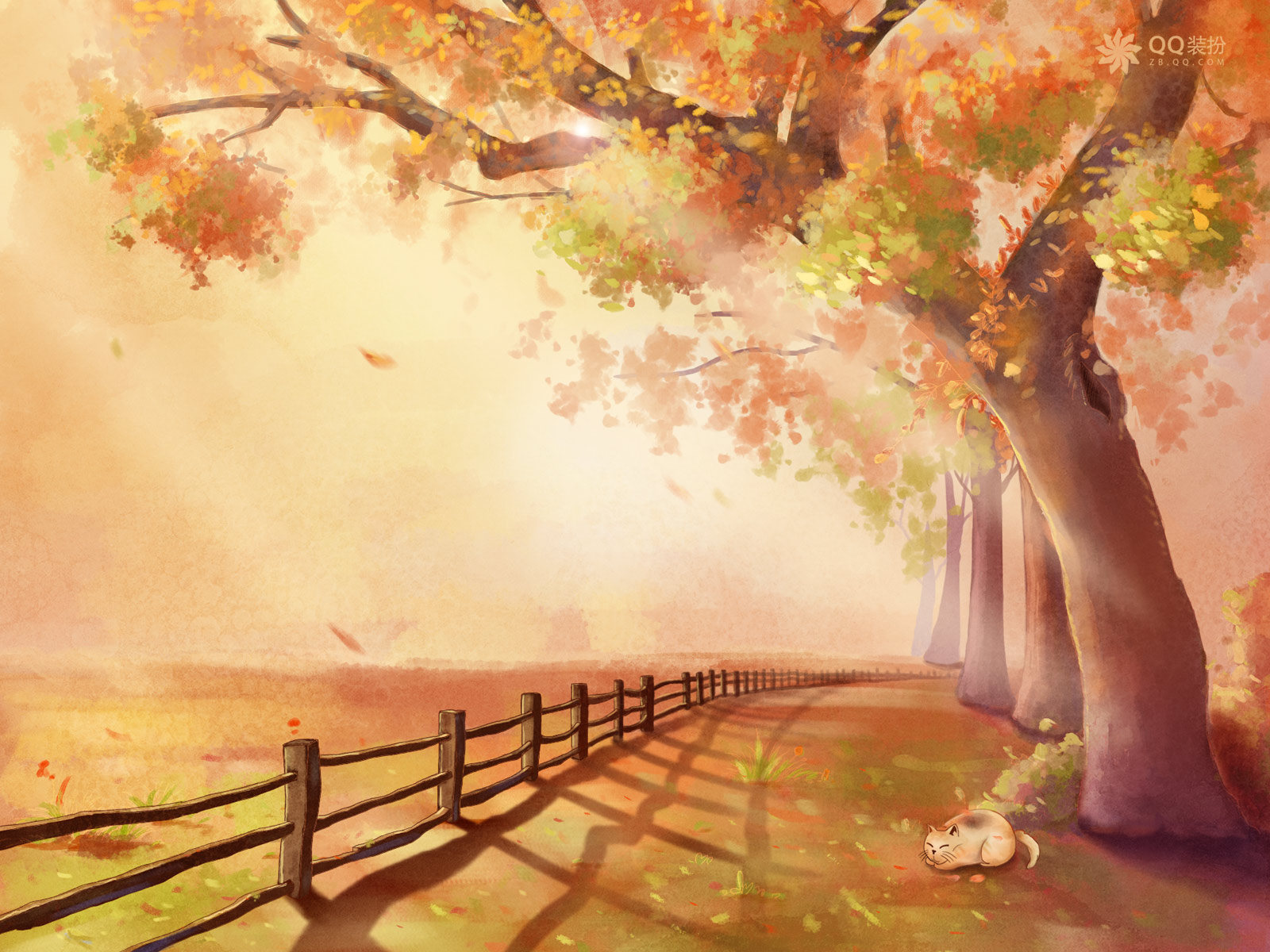 秋日风景 落叶路