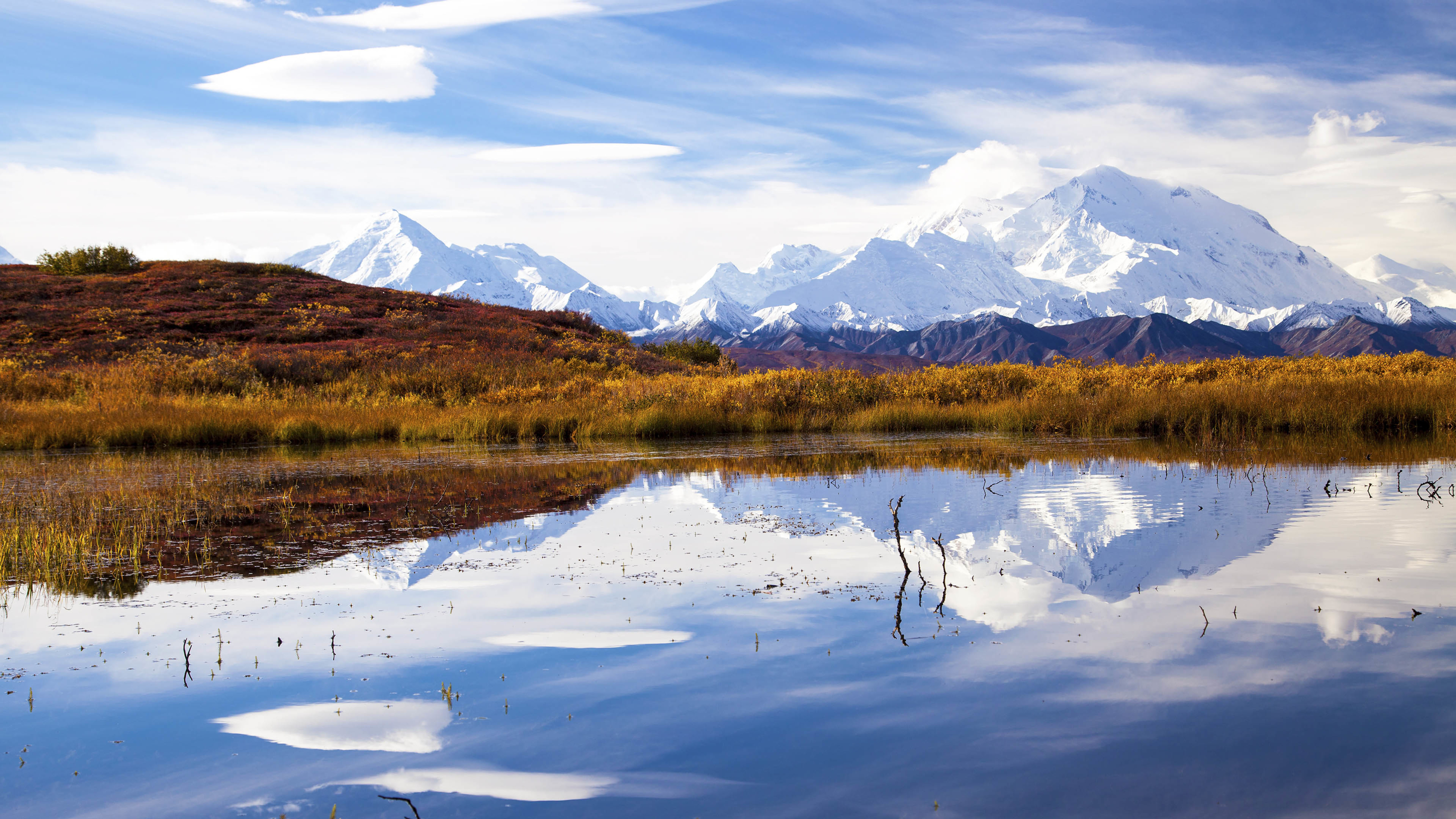 雪山 湖水 草地 空旷