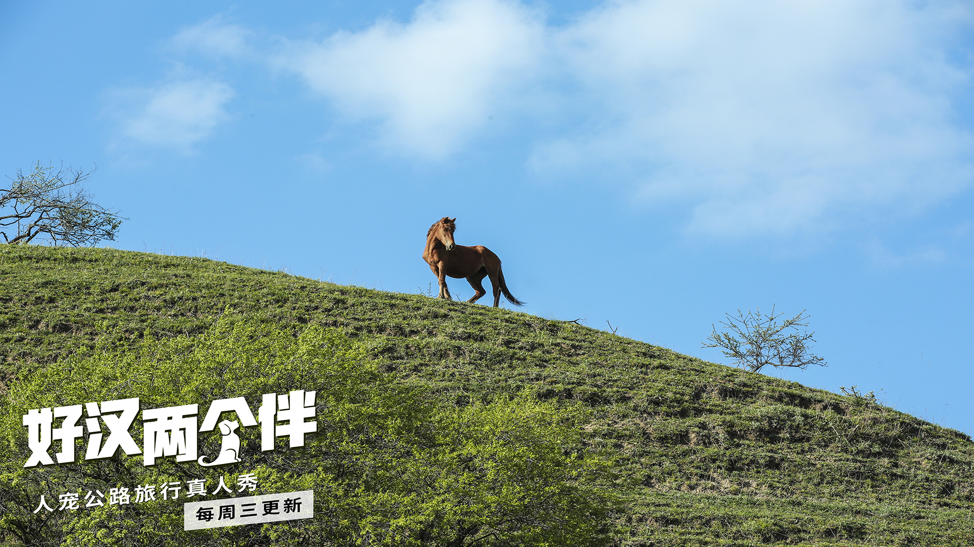 影视剧照 好汉两个半