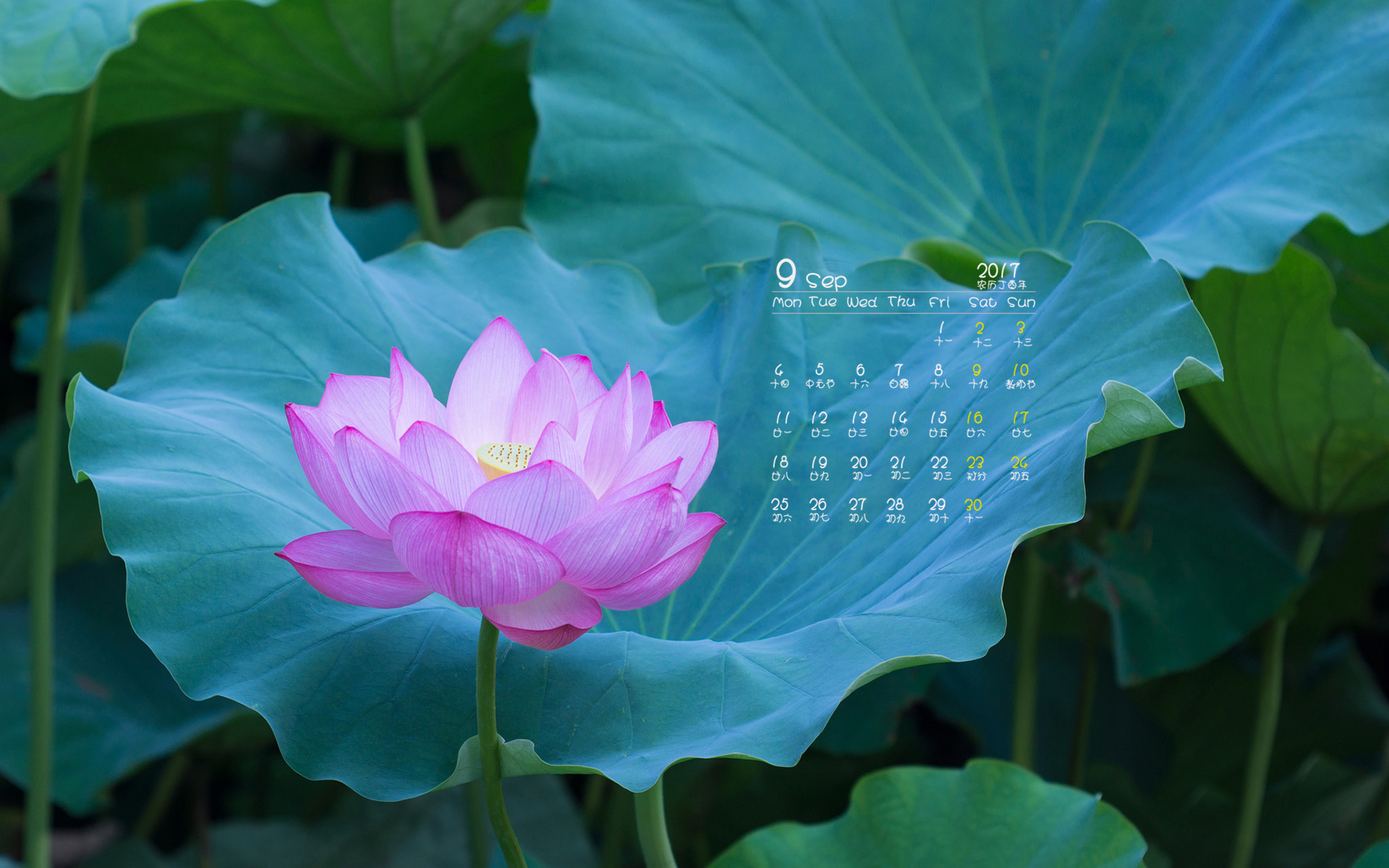 月历 2017年9月