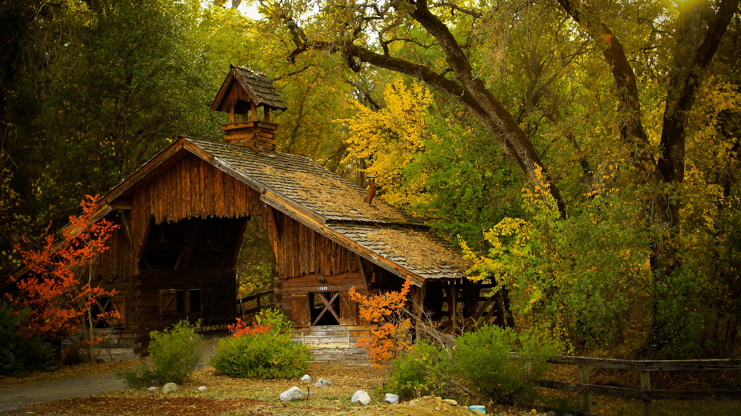 风景 林中小屋 春意盎然