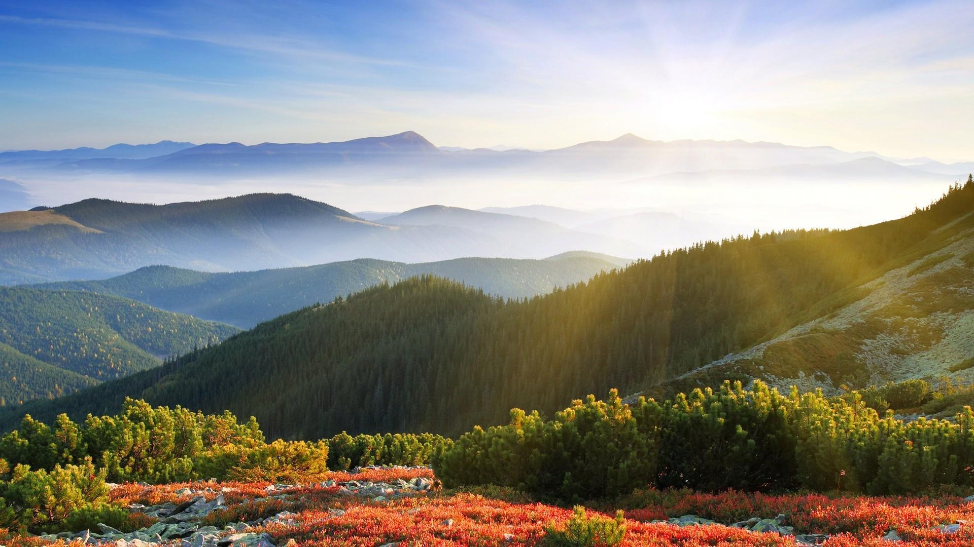 风景 自然风景 阳光明媚 蓝天 白云