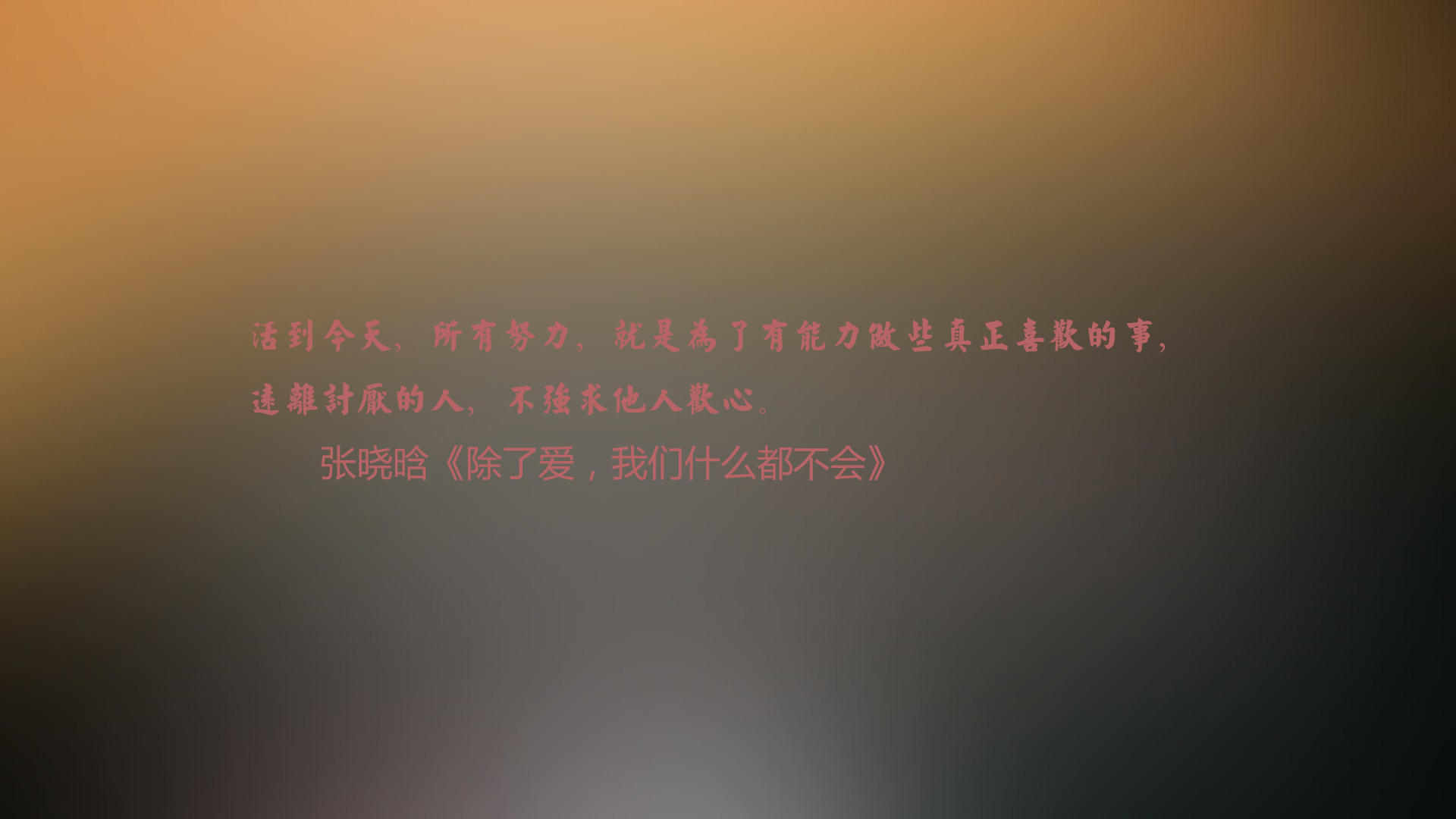 文字 张晓晗 语录