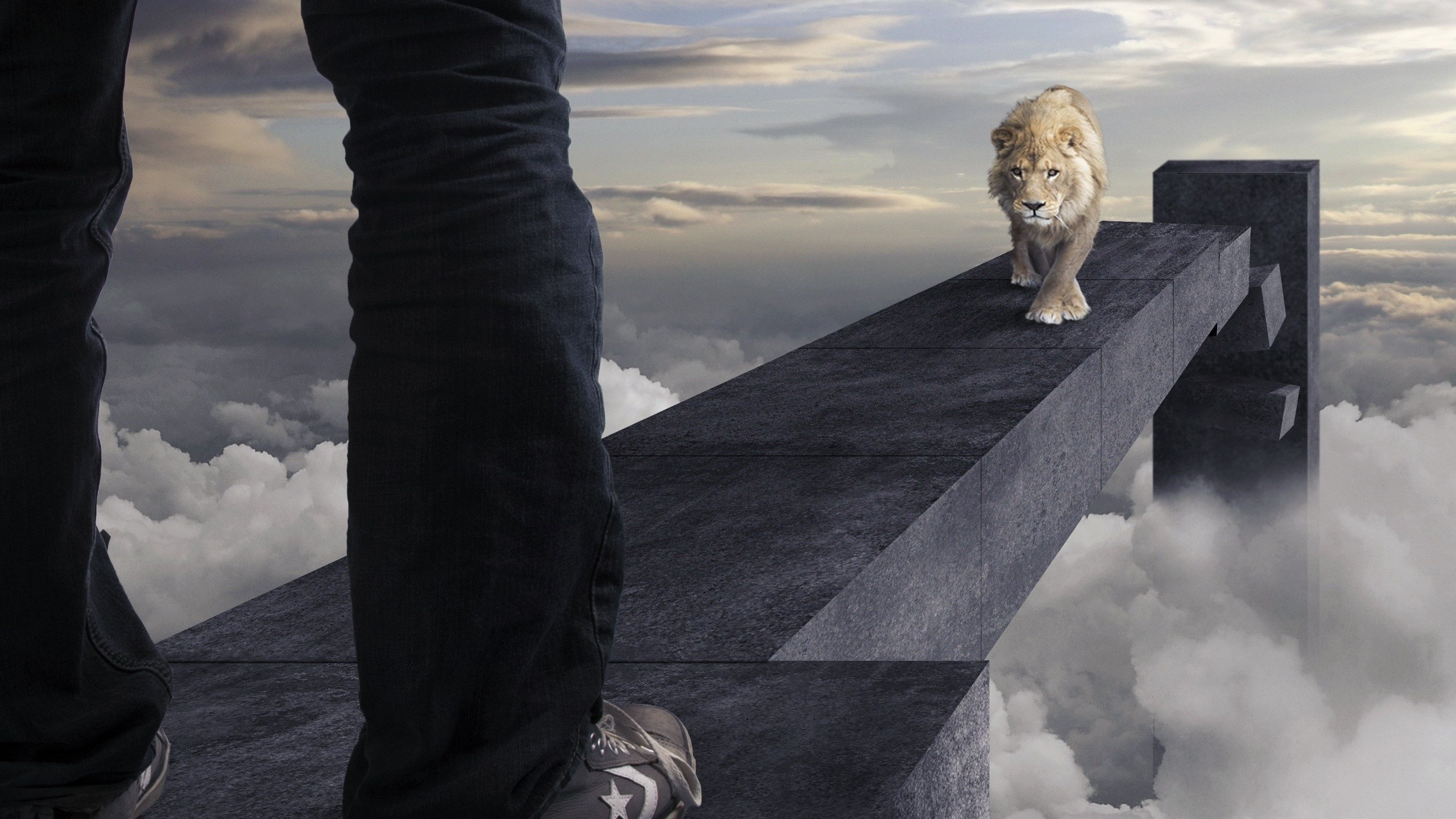 炫酷时尚 创意 趣味 狮子