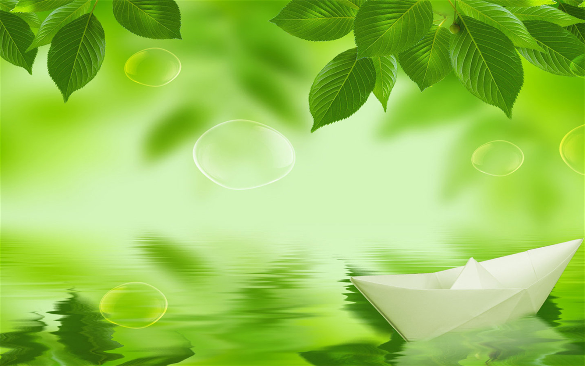 护眼壁纸 绿色 树叶