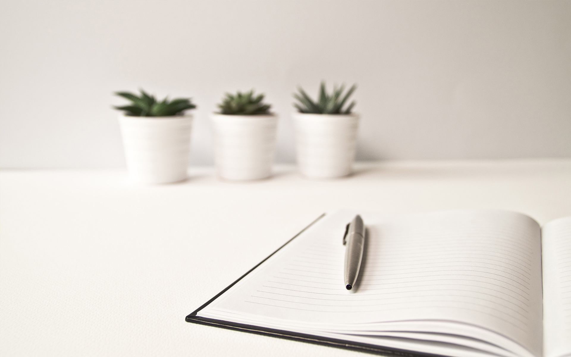 静物写真  仙人掌 桌面 简洁