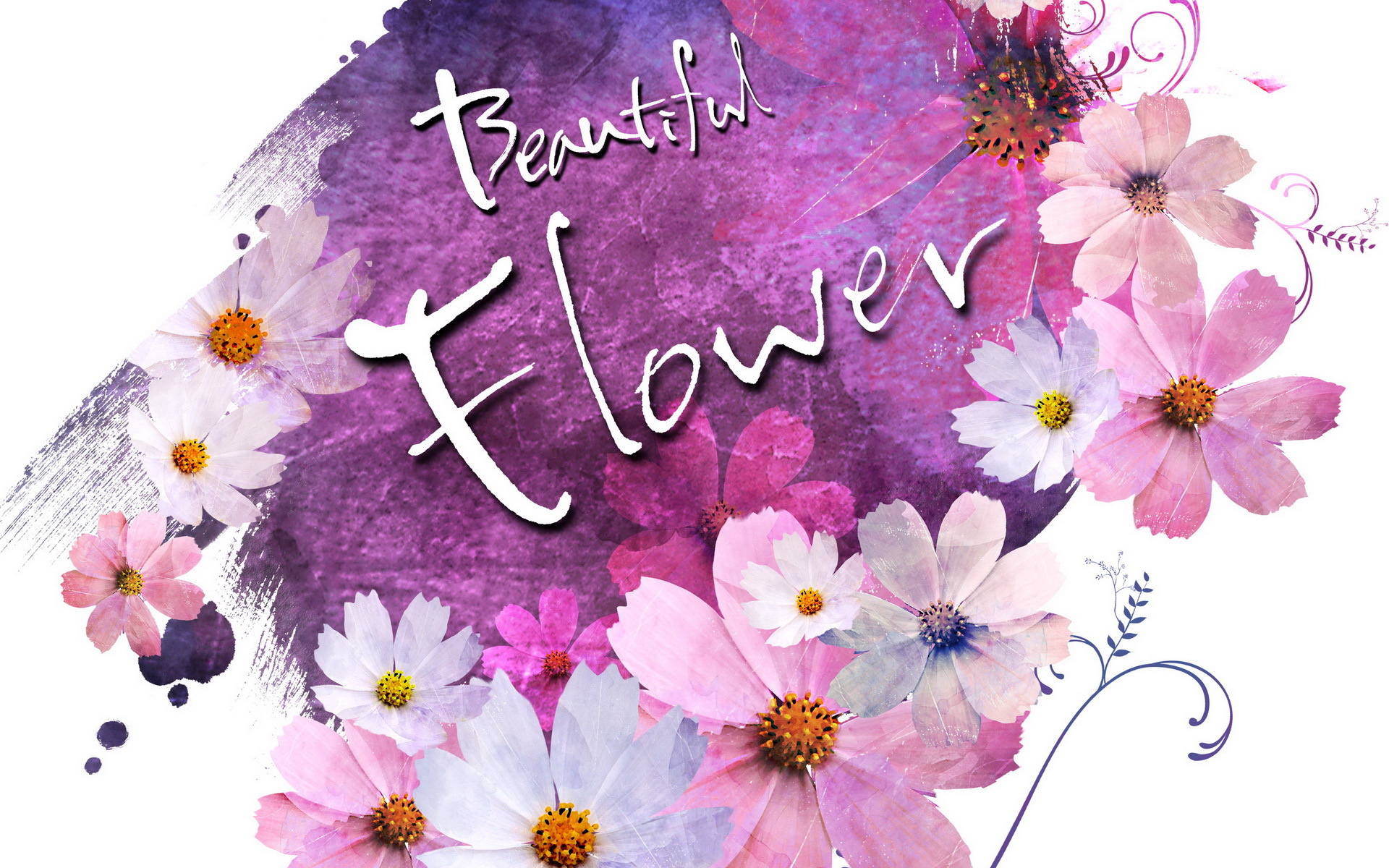 小清新 浪漫 简约 花卉 宽屏