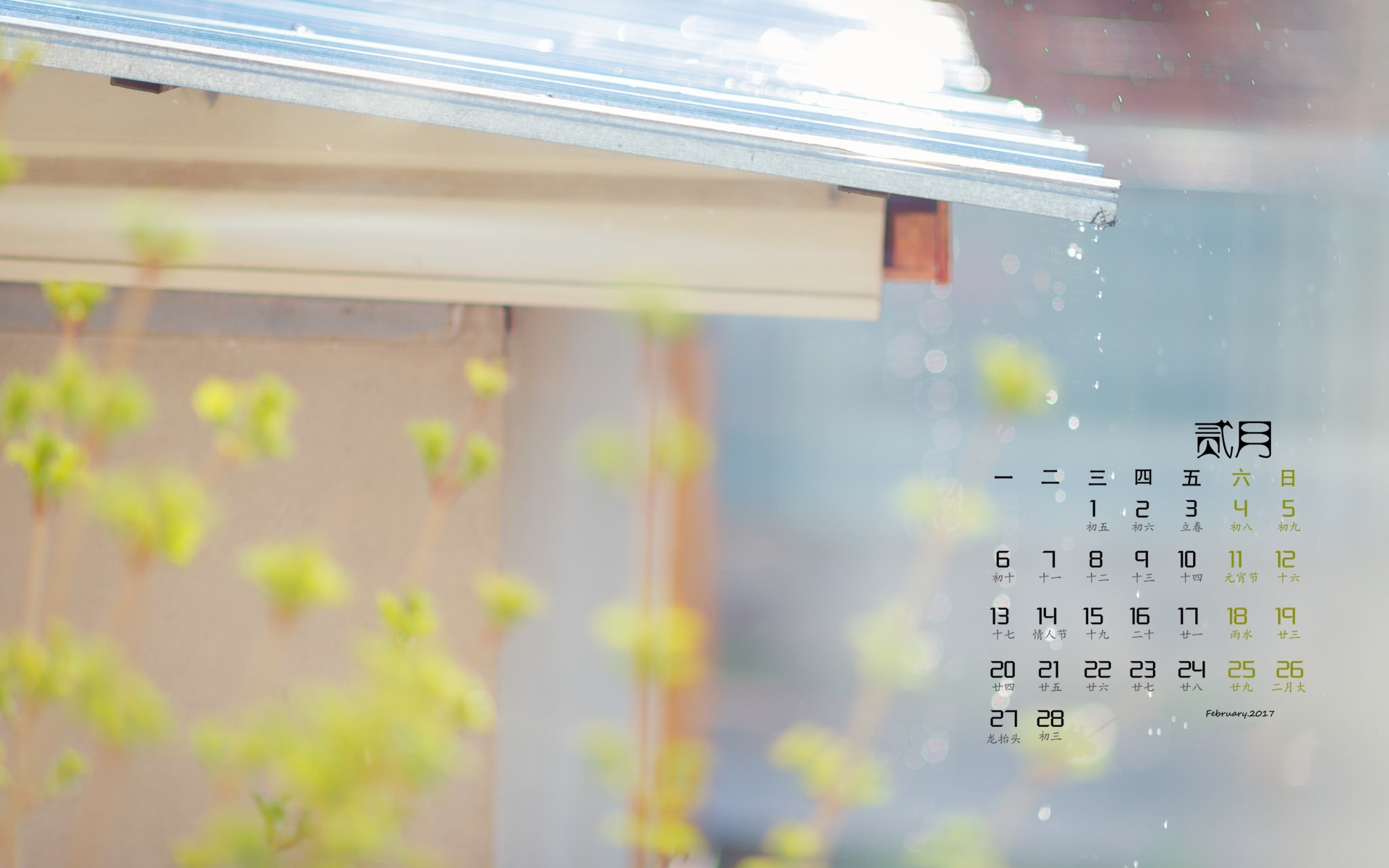 2月 小清新 水滴