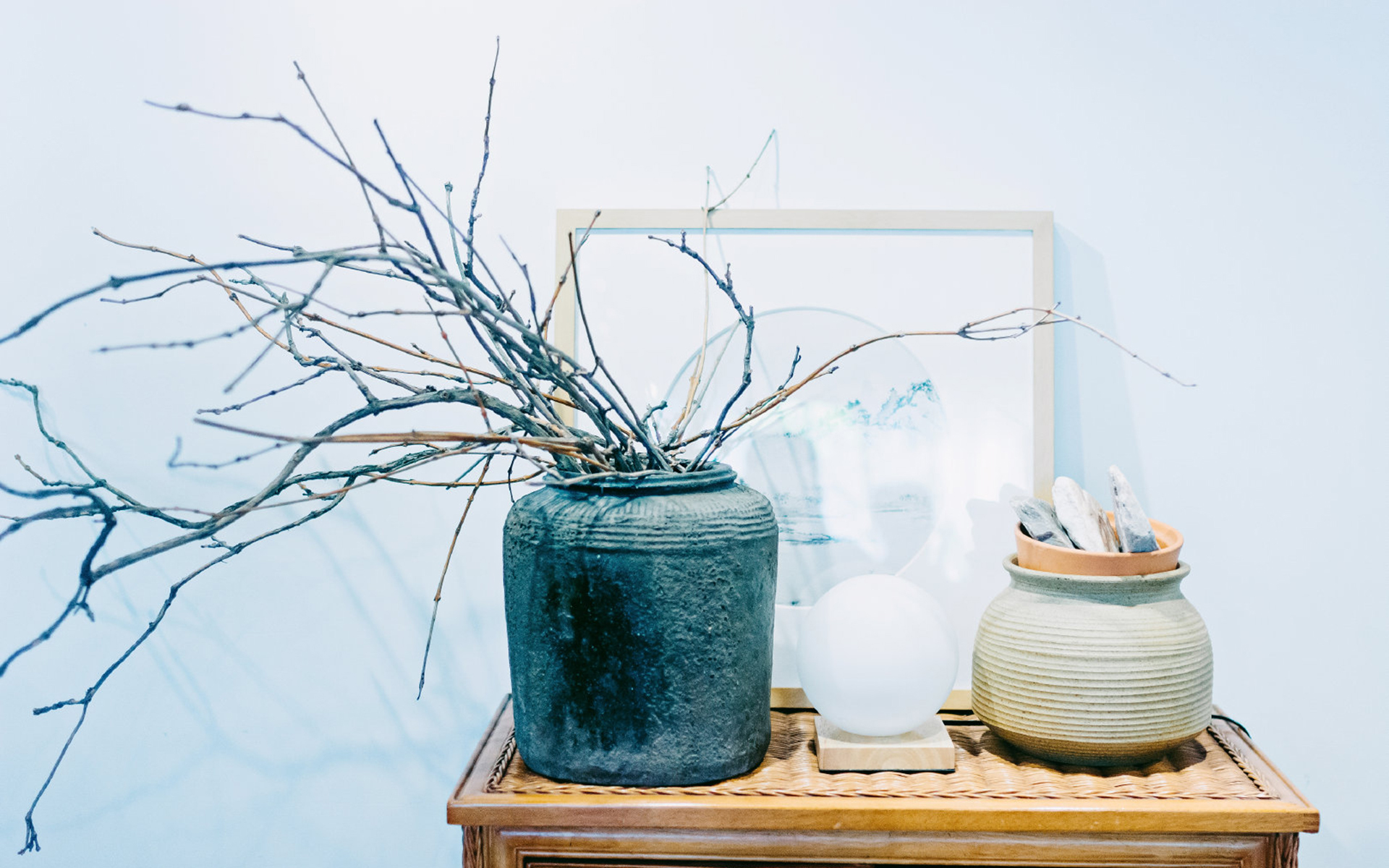 静物写真  简洁  绿色  植物   养眼  阳光  装饰