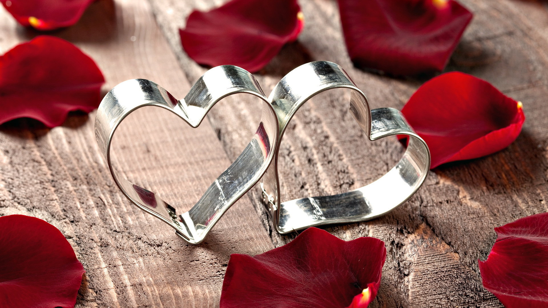 心动创意 爱心 花瓣