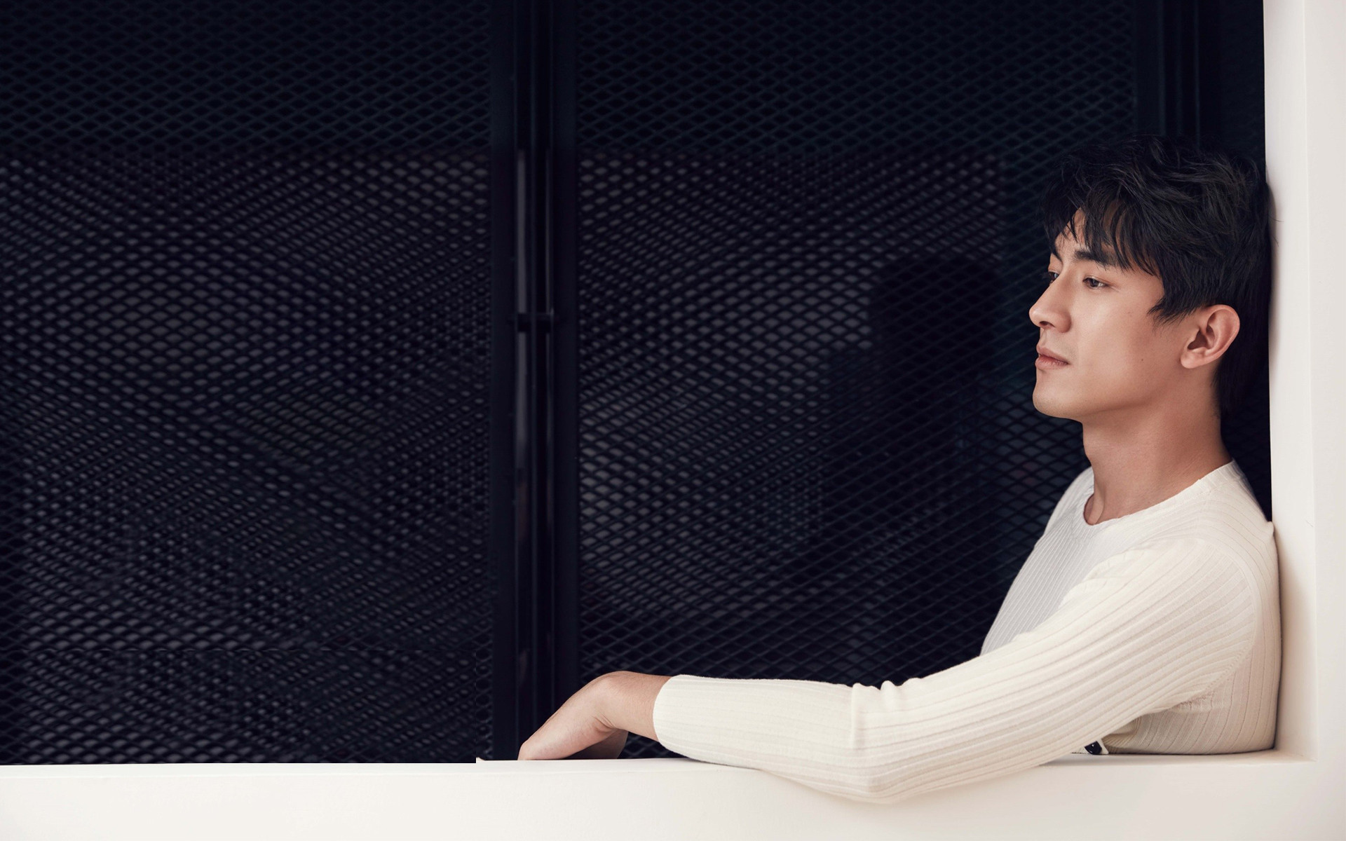 明星 大陆 林更新