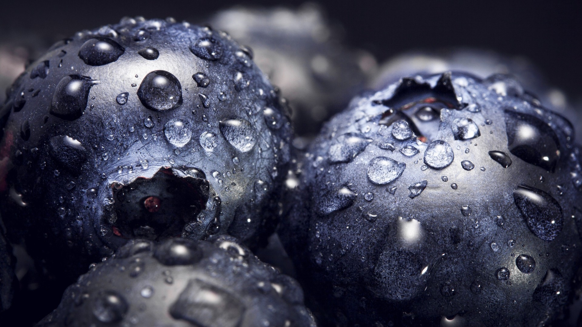 小清新 动感水果 蓝莓