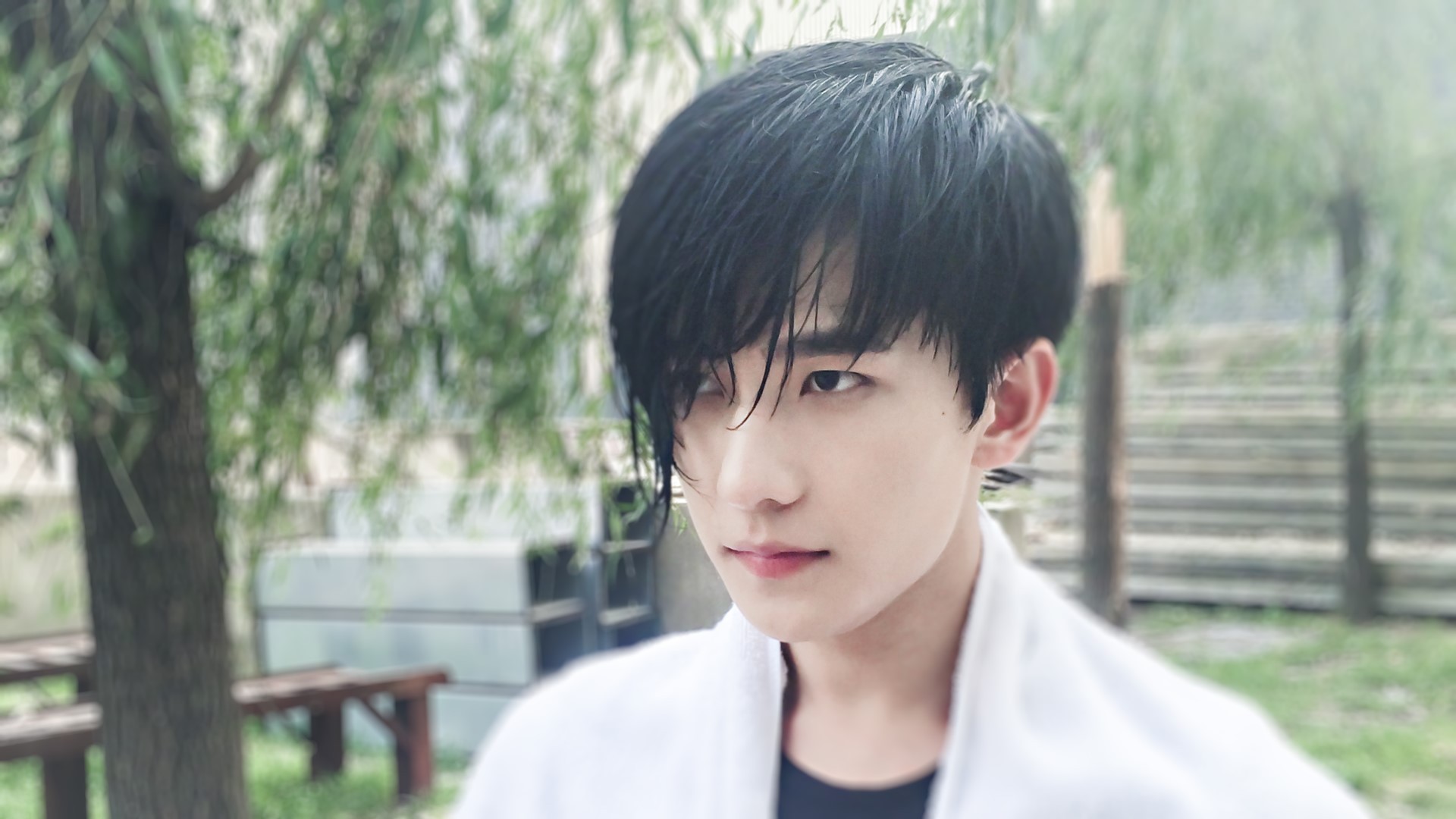 明星 杨洋 小鲜肉