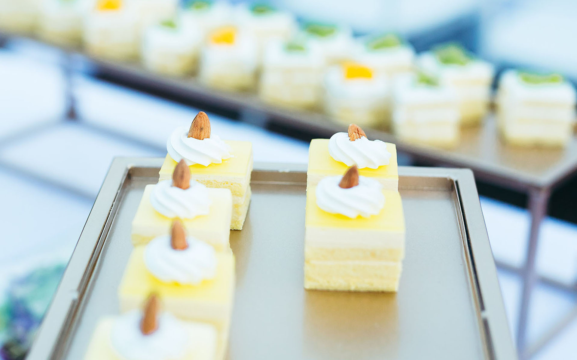 静物 相机 糕点