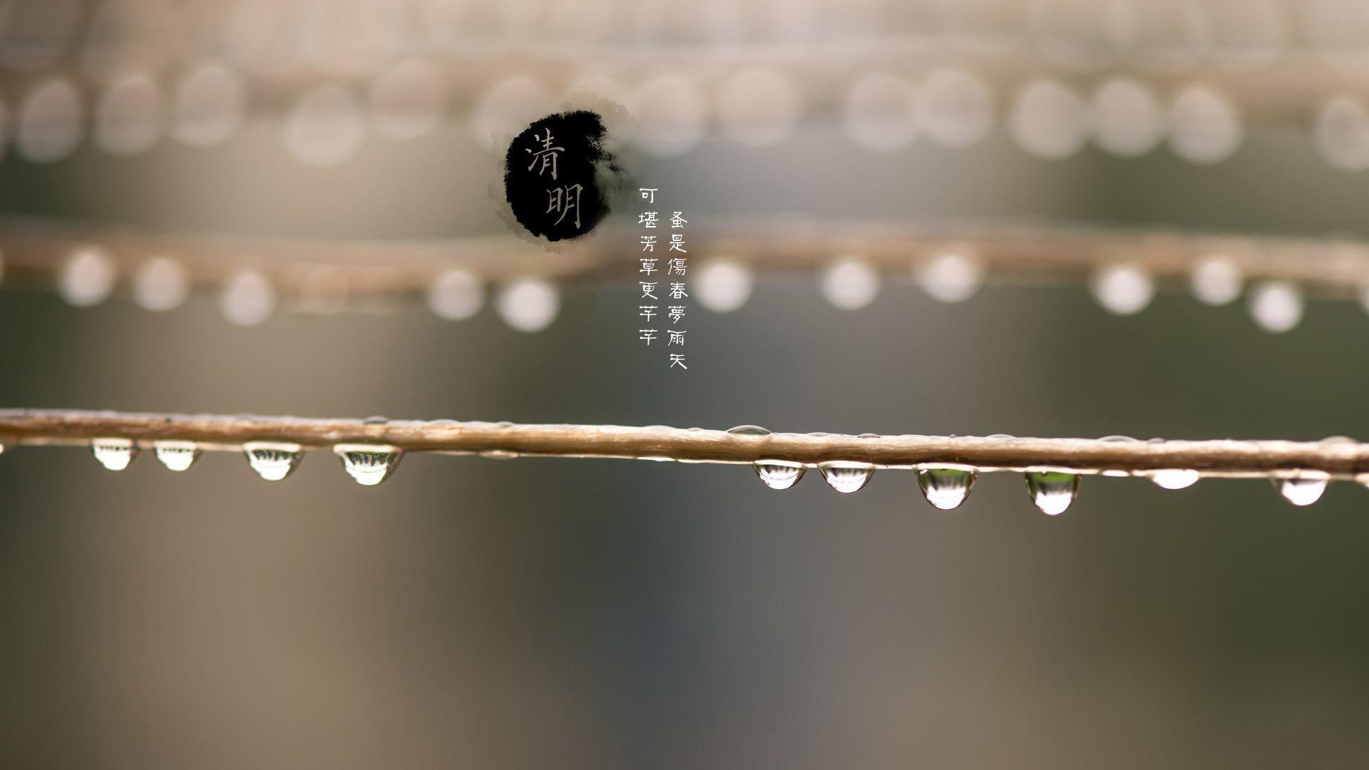清明 水珠