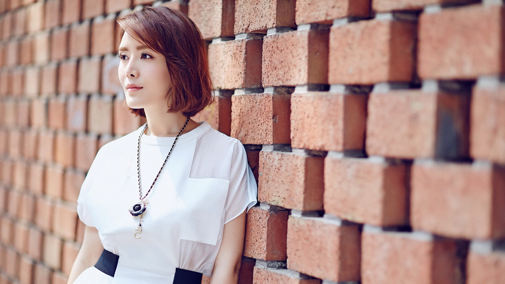 内地明星 车永莉