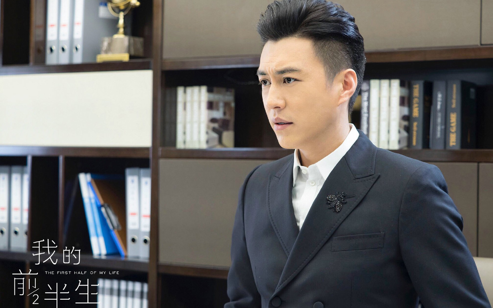 影视 电视剧 我的前半生 靳东