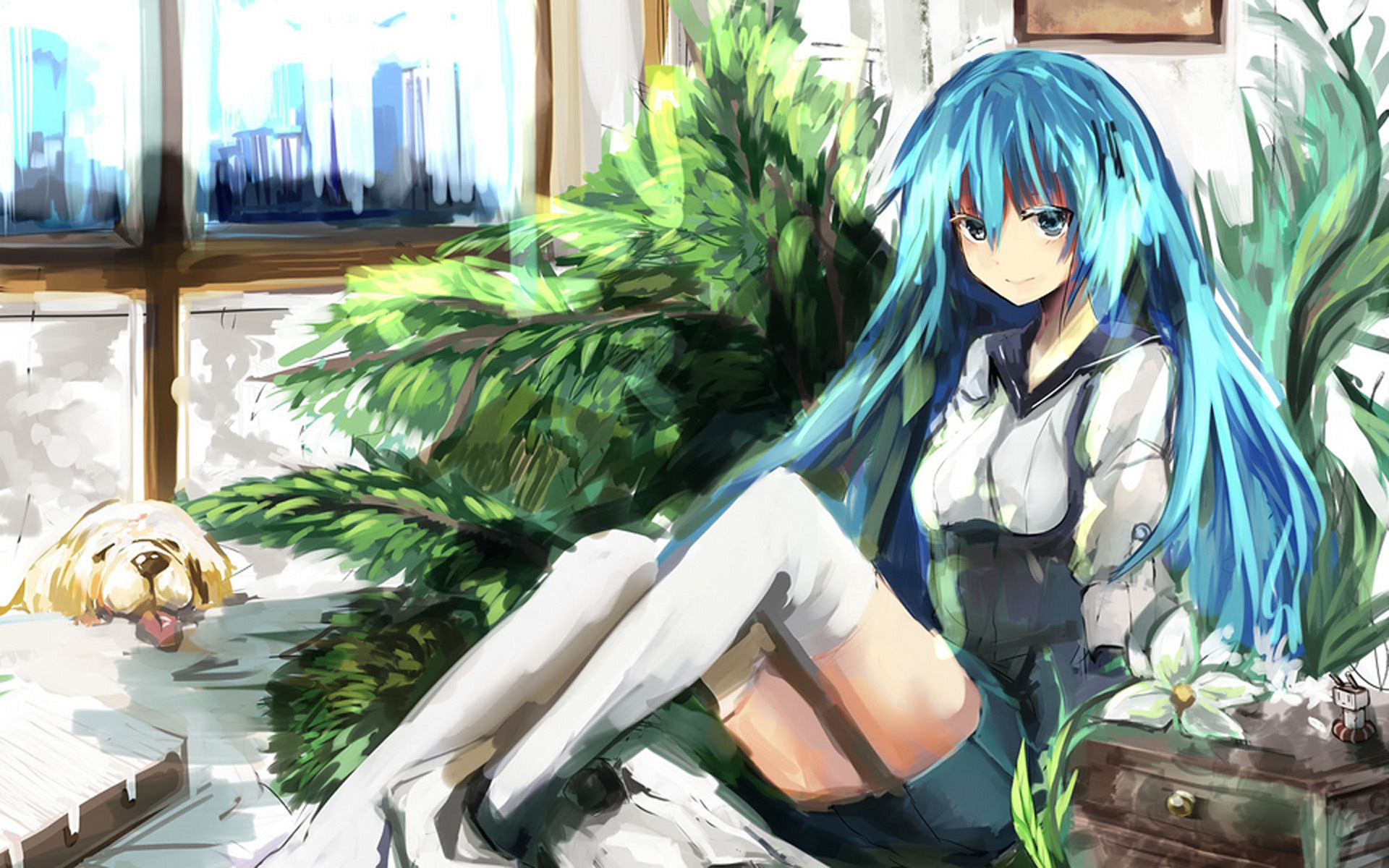 动漫 软萌 可爱 二次元