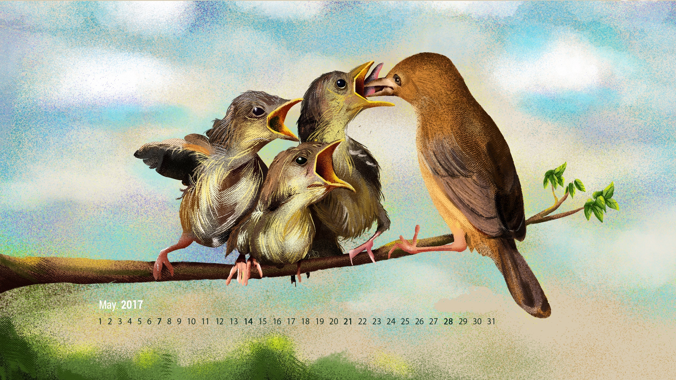 2017年5月 手绘 麻雀 小鸟