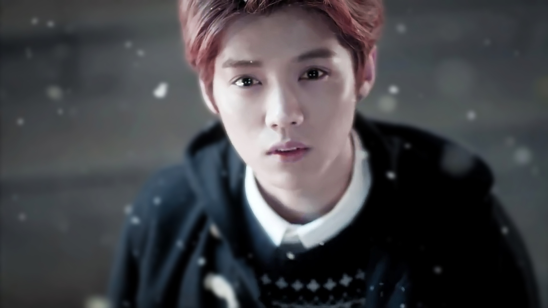 EXO 音乐 流行乐 小鲜肉 明星