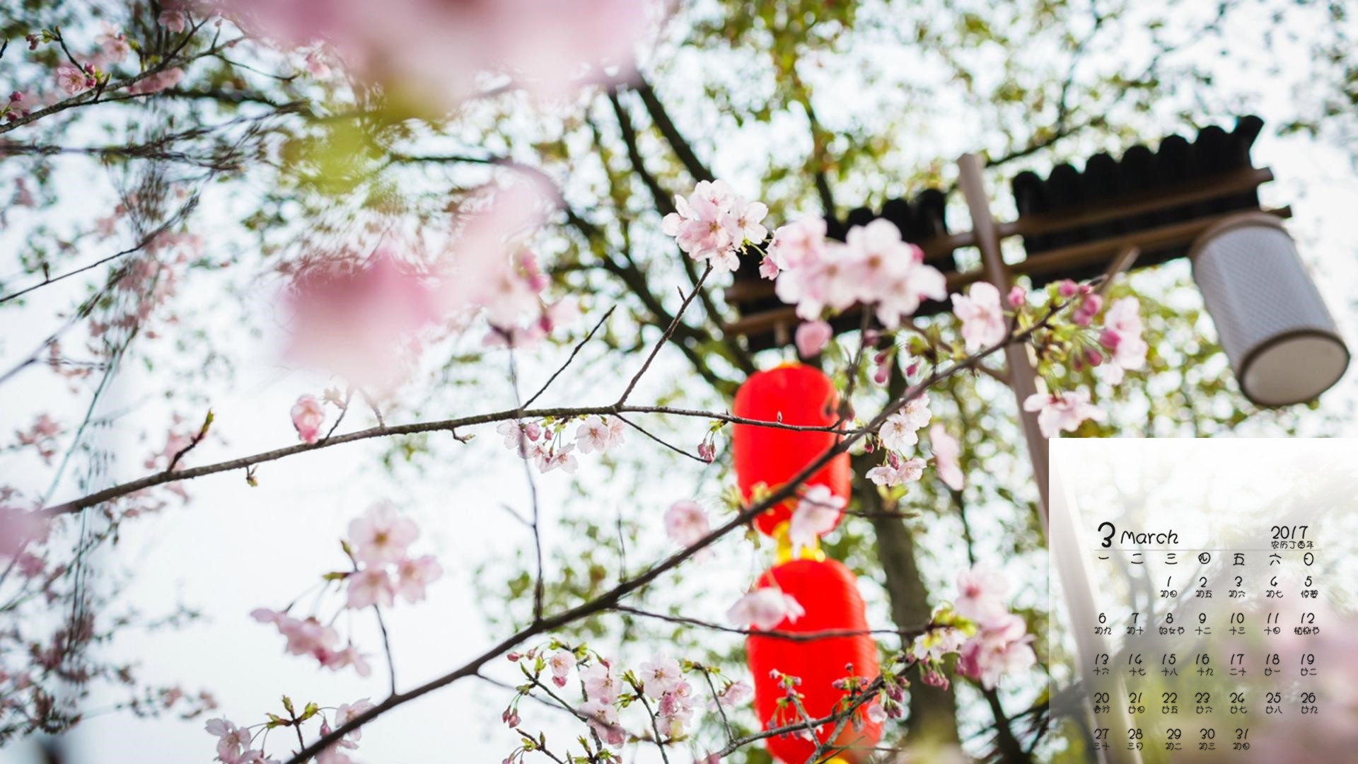 2017年3月 桃花 小清新