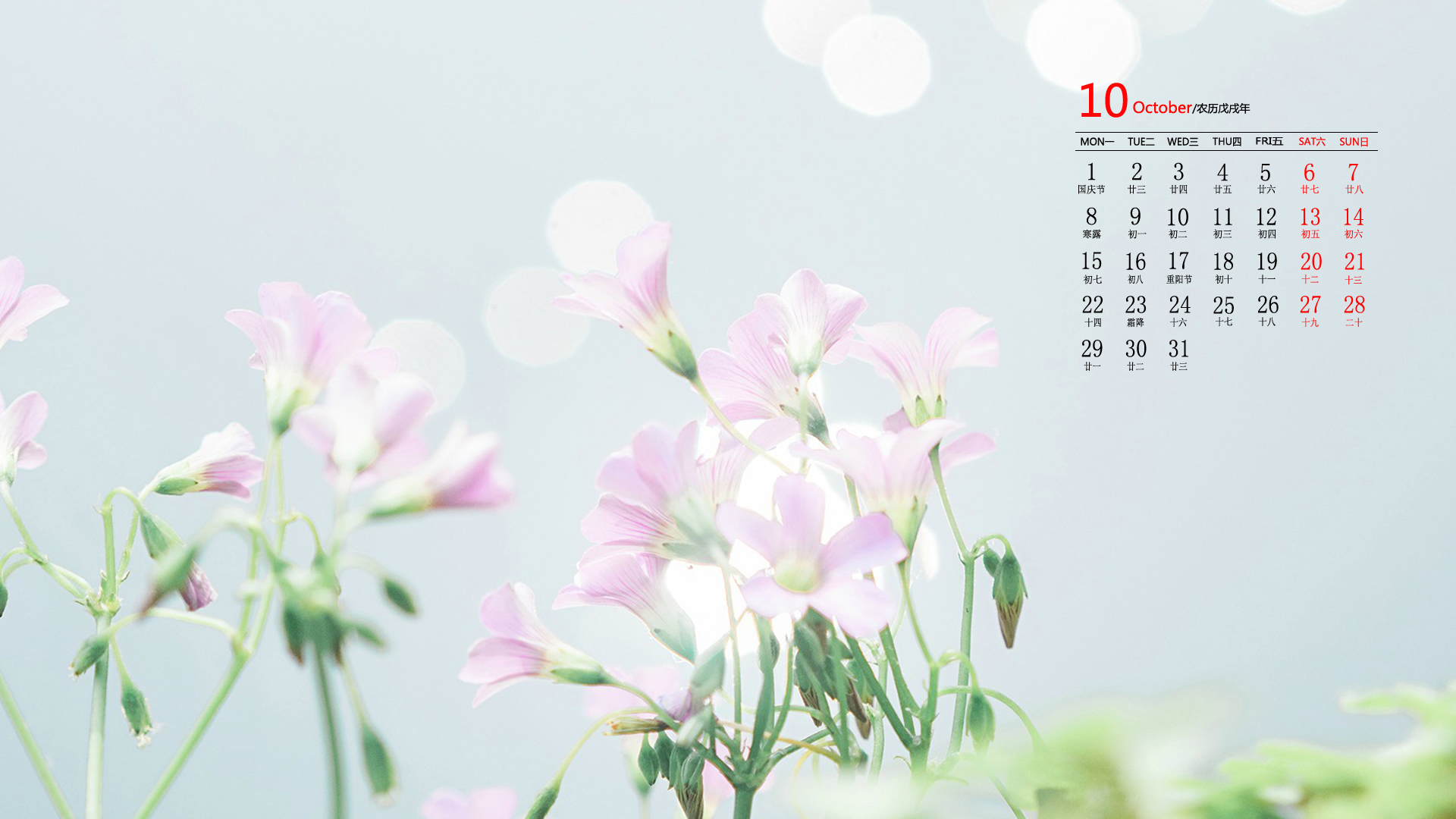月历壁纸  10月  2018年
