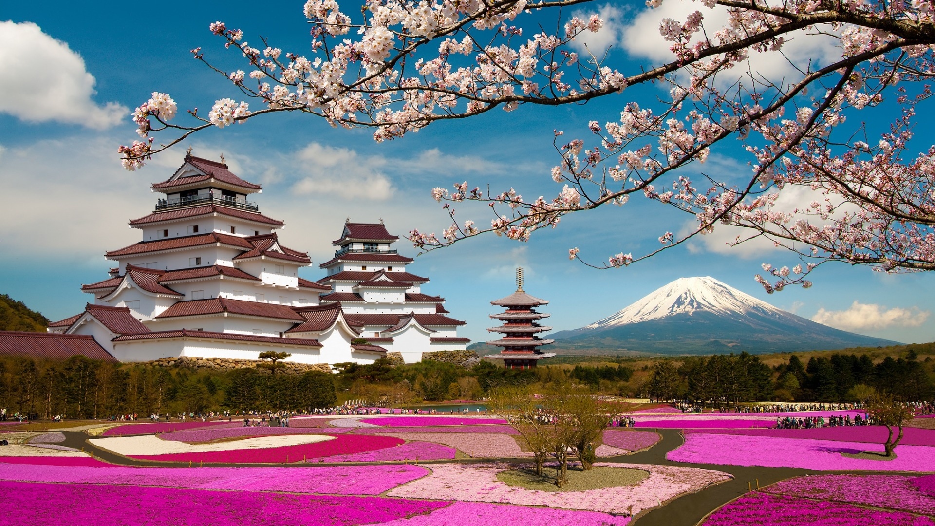 风景 日本 富士山 旅游胜地