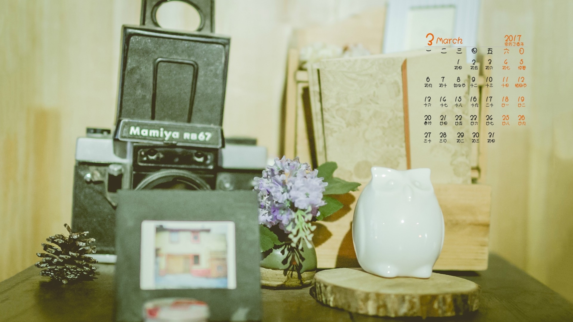 2017年3月 小清新