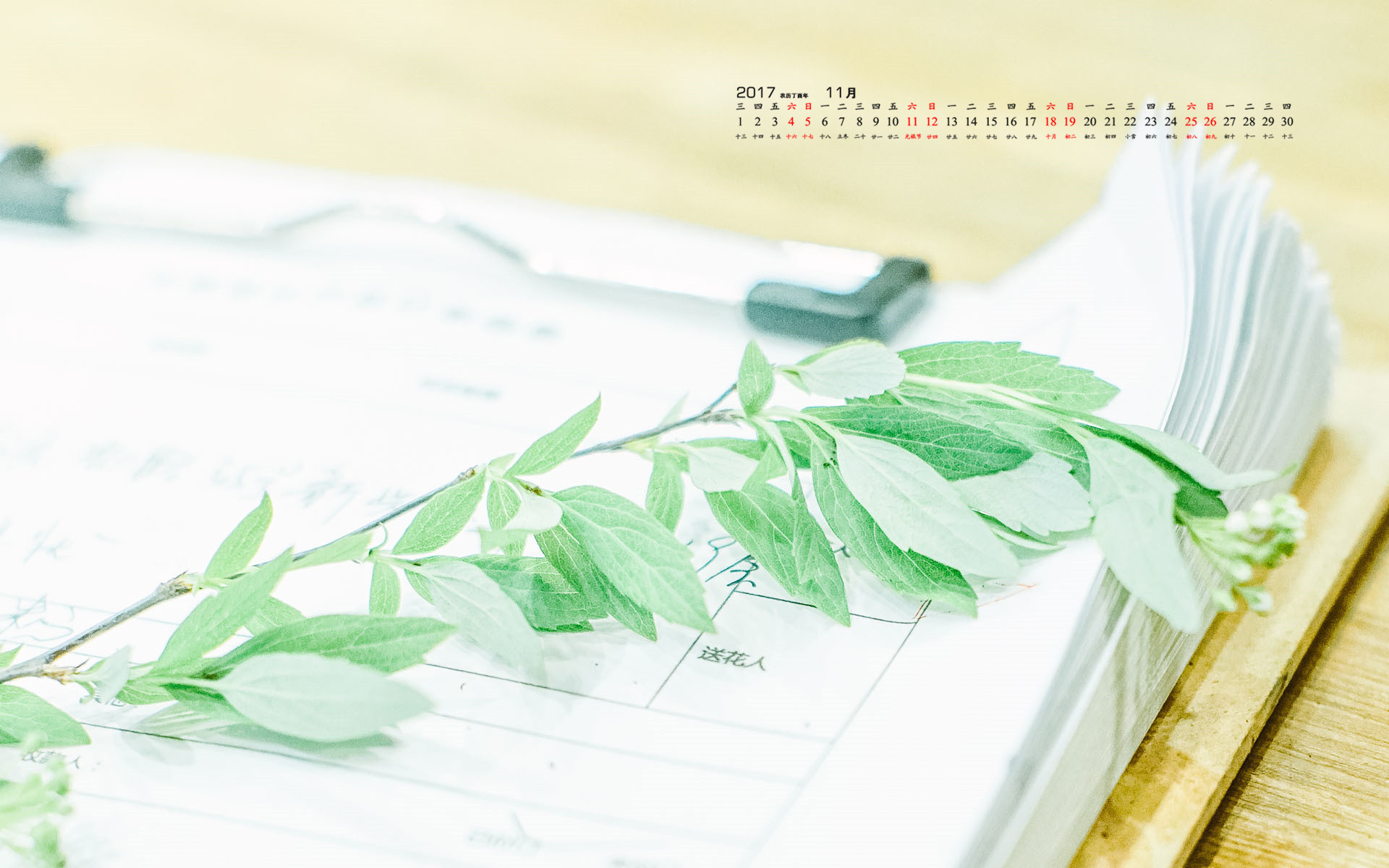 月历 2017年11月