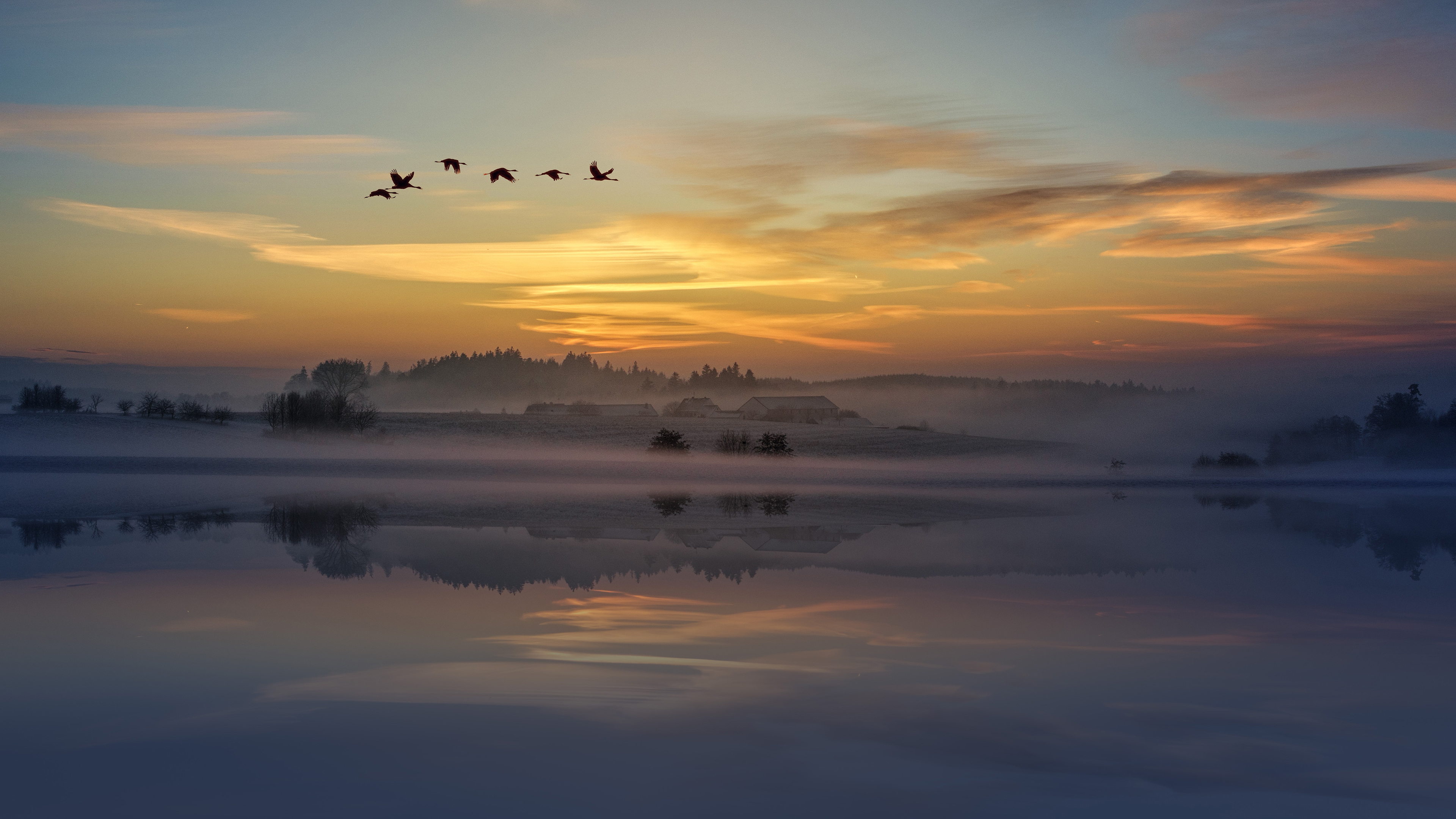 晚霞 候鸟 迁徙
