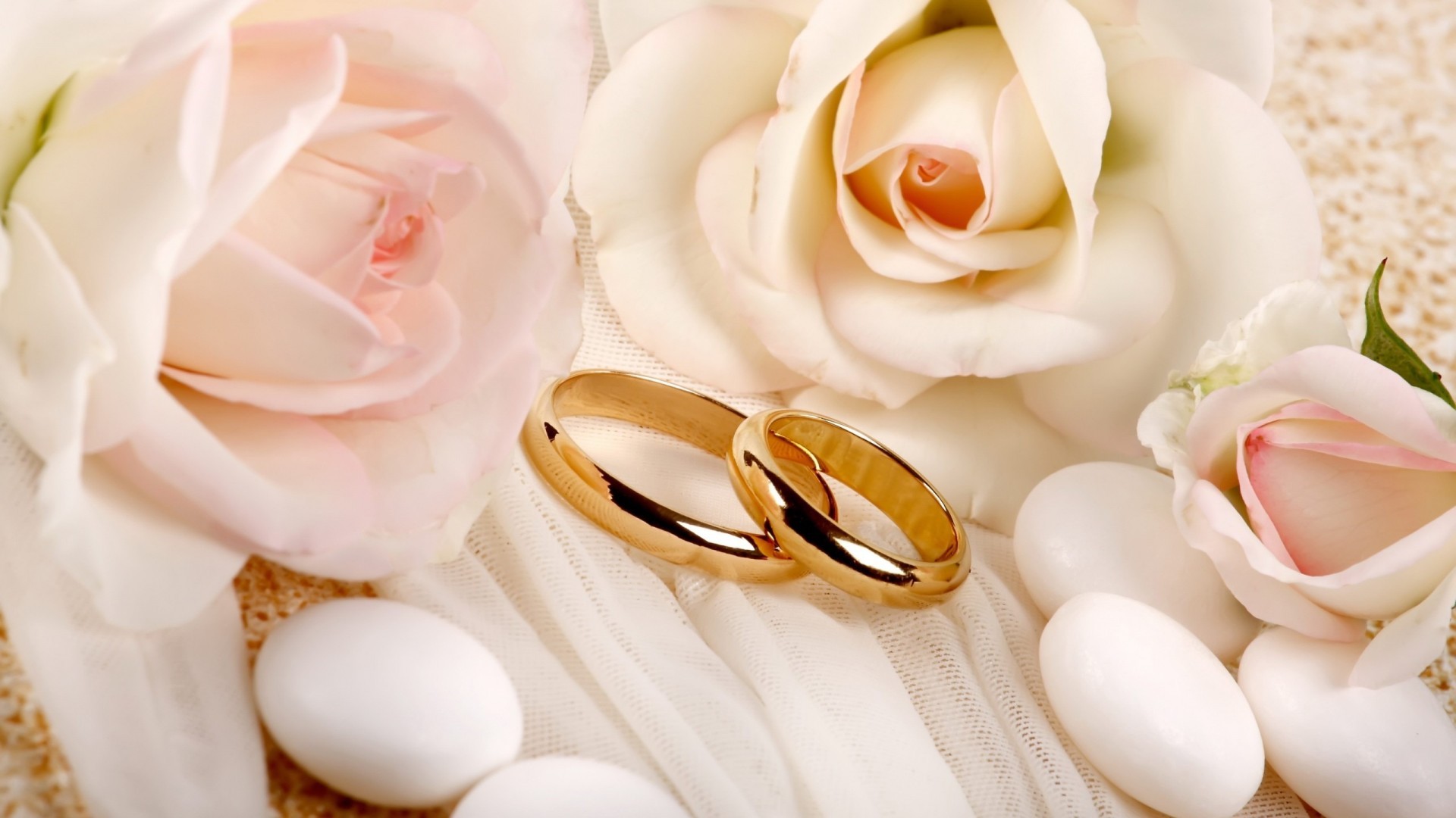 心动创意 戒指 玫瑰花