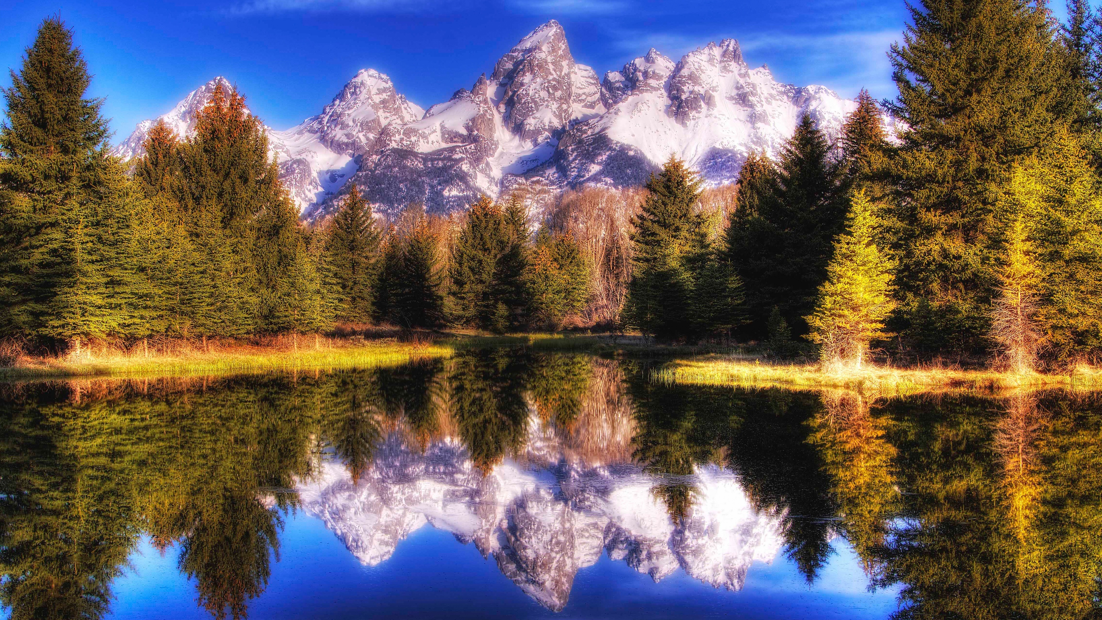 雪山 湖水 森林