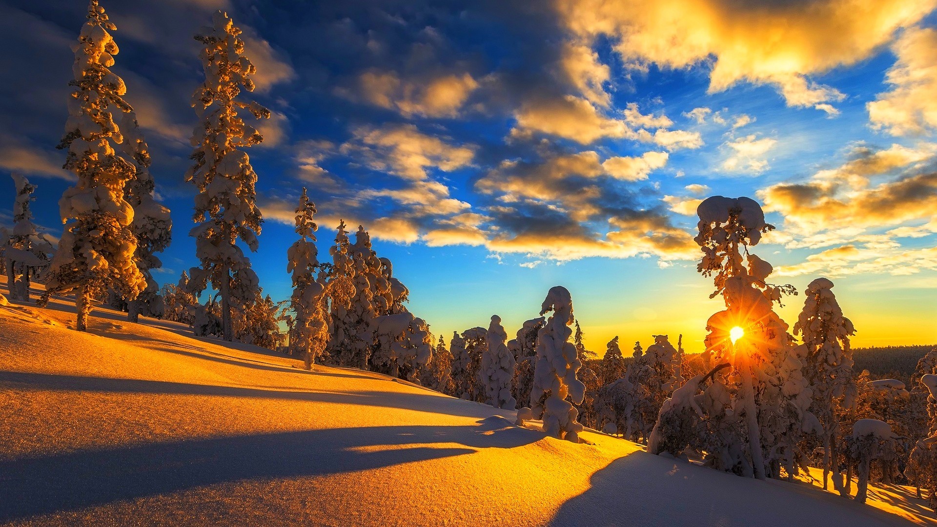 风景  雪景  阳光灿烂   冰天雪地