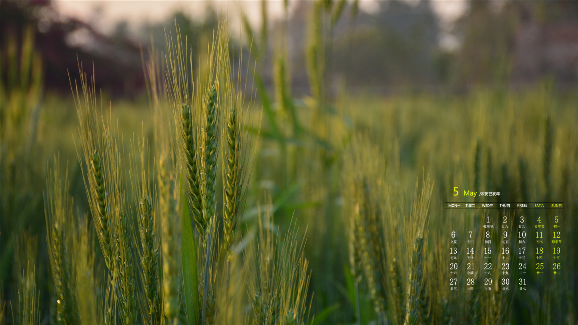 月历 2019年5月