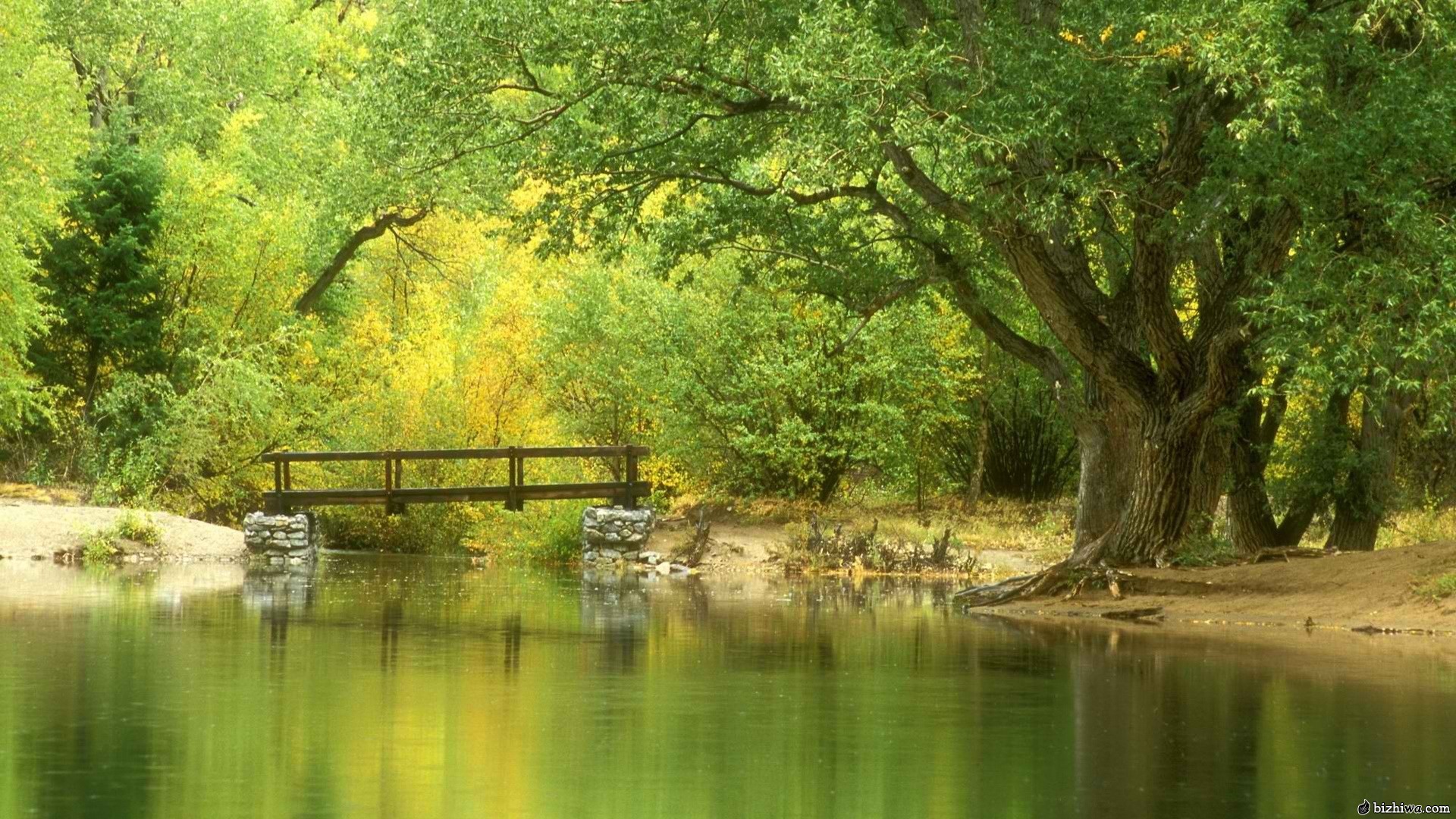 风景 自然风景 高清 宽屏