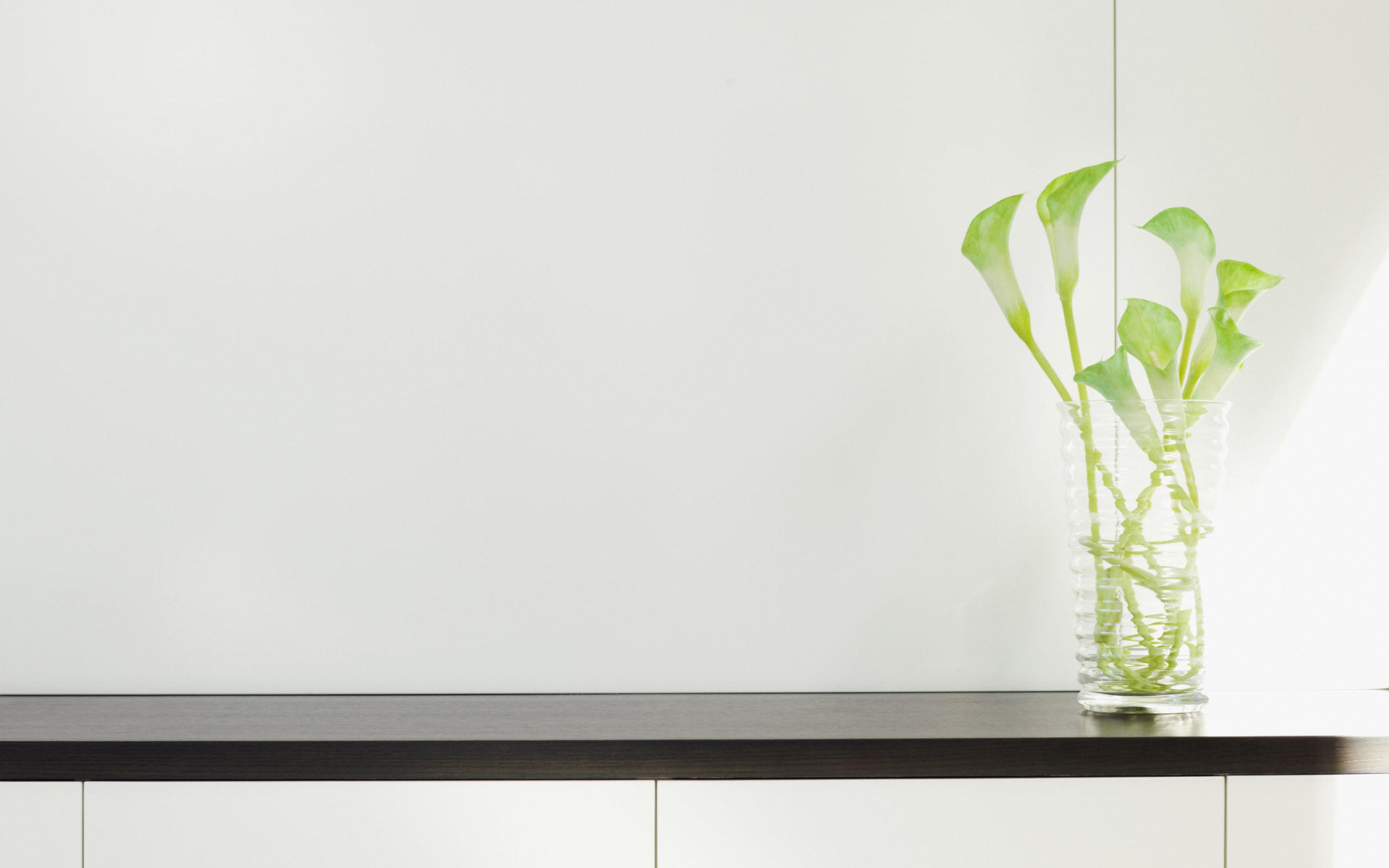 静物写真  清新室内  花朵   植物