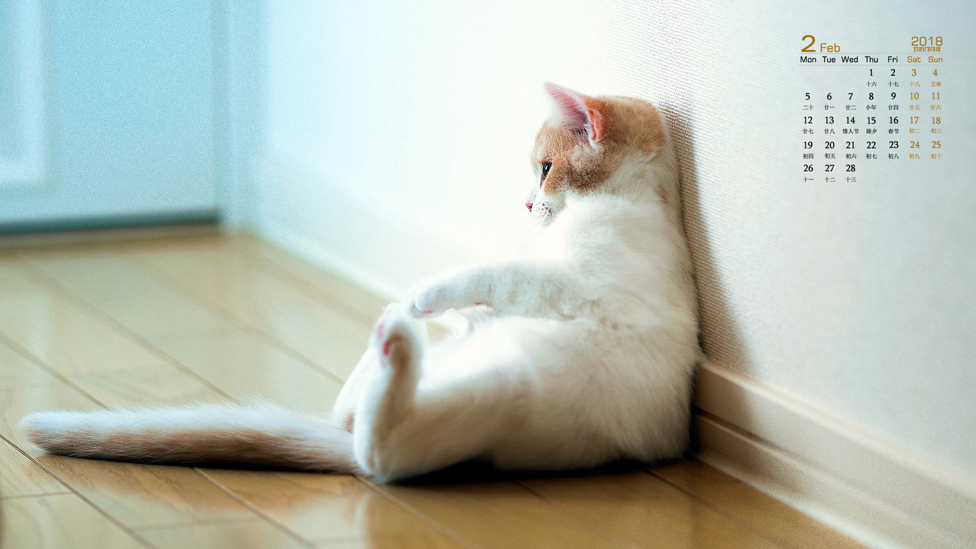 月历 2018年2月