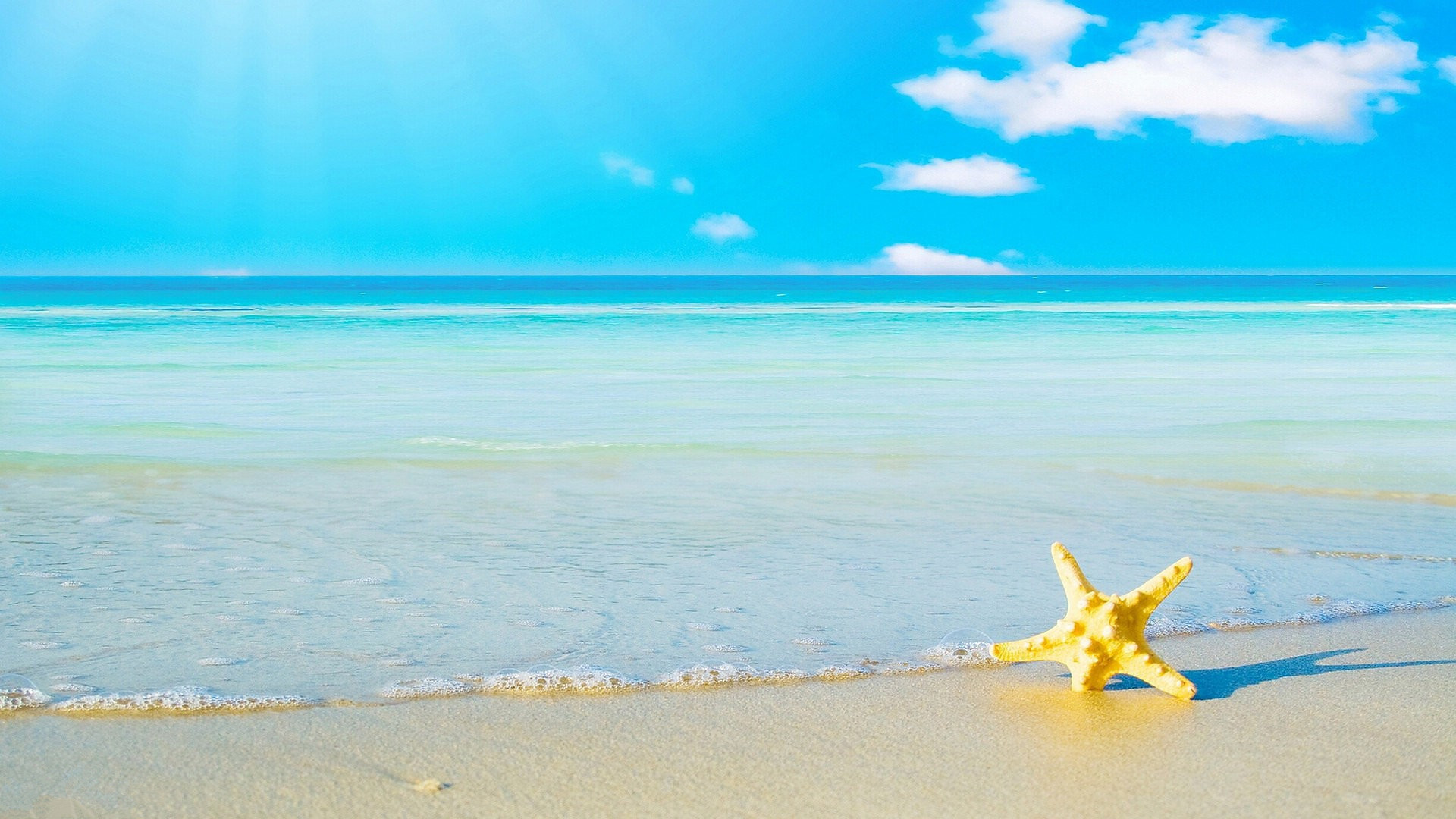 小清新 蓝天 白云 大海 海星