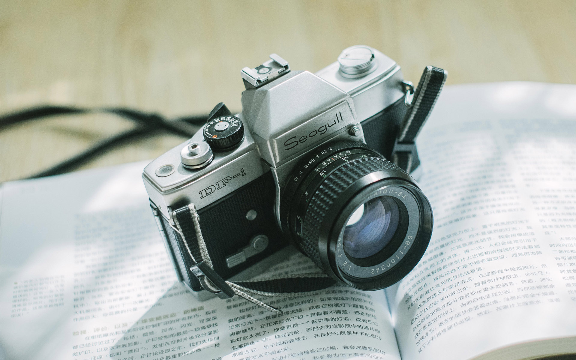 小清新 静物写真 单反相机