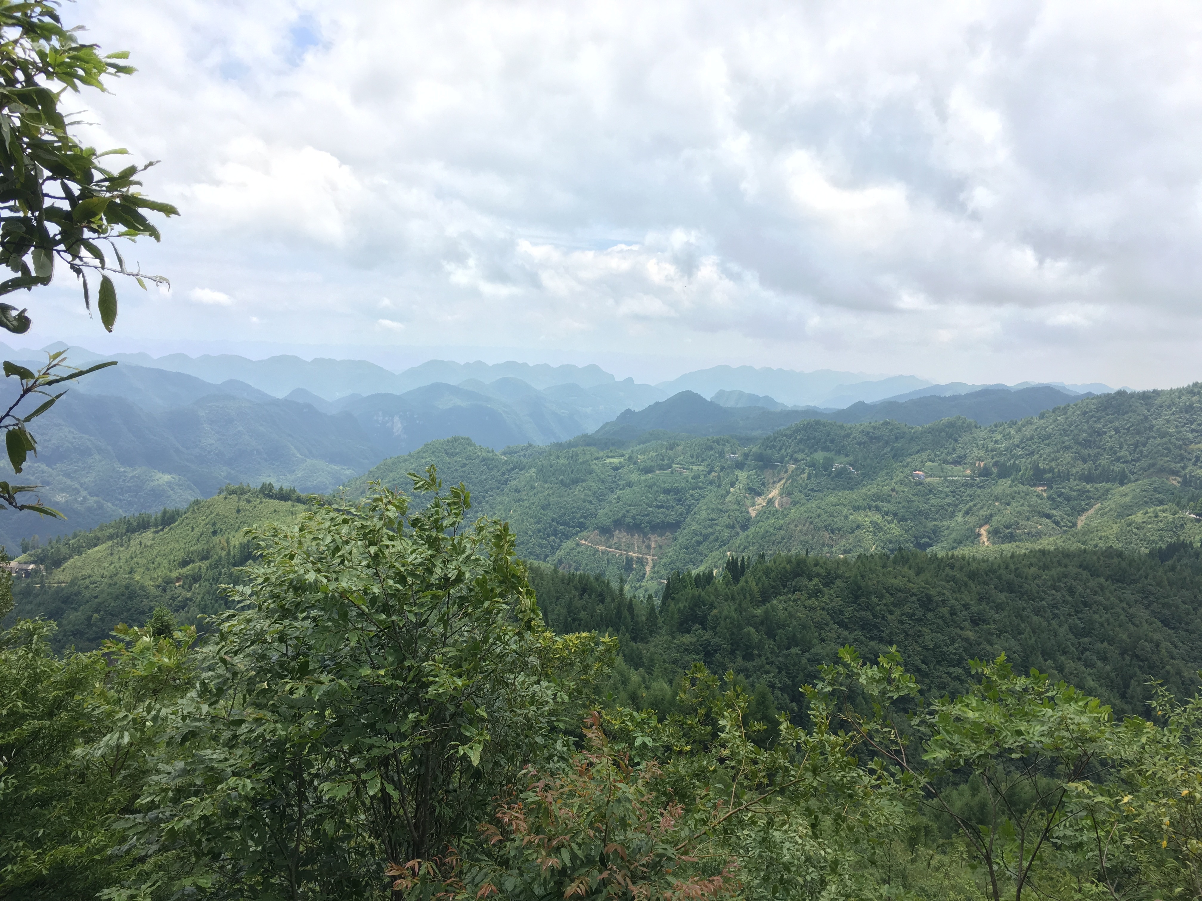 风景 自然