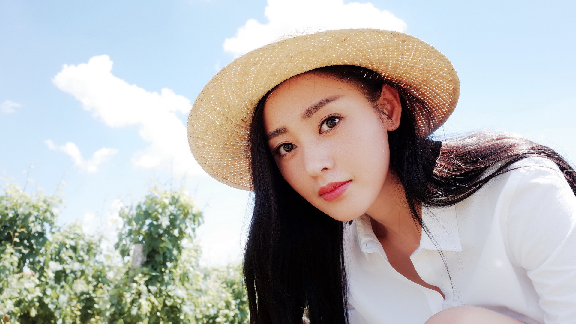 内地明星 张天爱